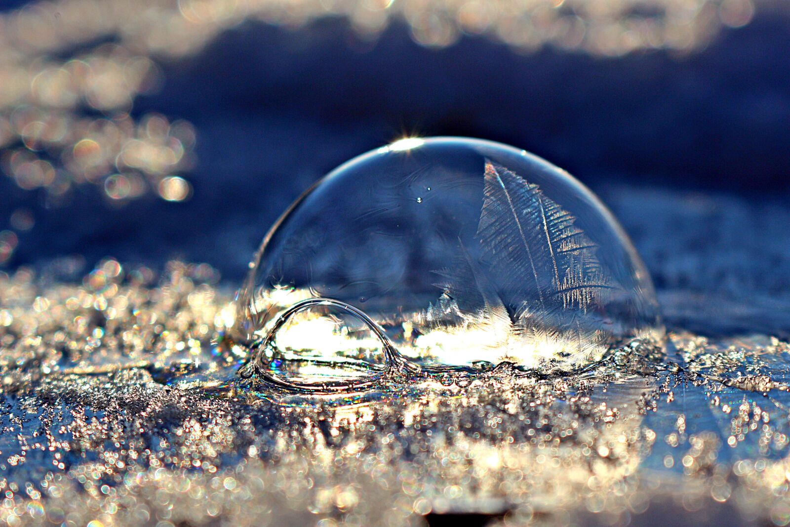 Canon EOS 100D (EOS Rebel SL1 / EOS Kiss X7) sample photo. Frozen bubble, soap bubble photography