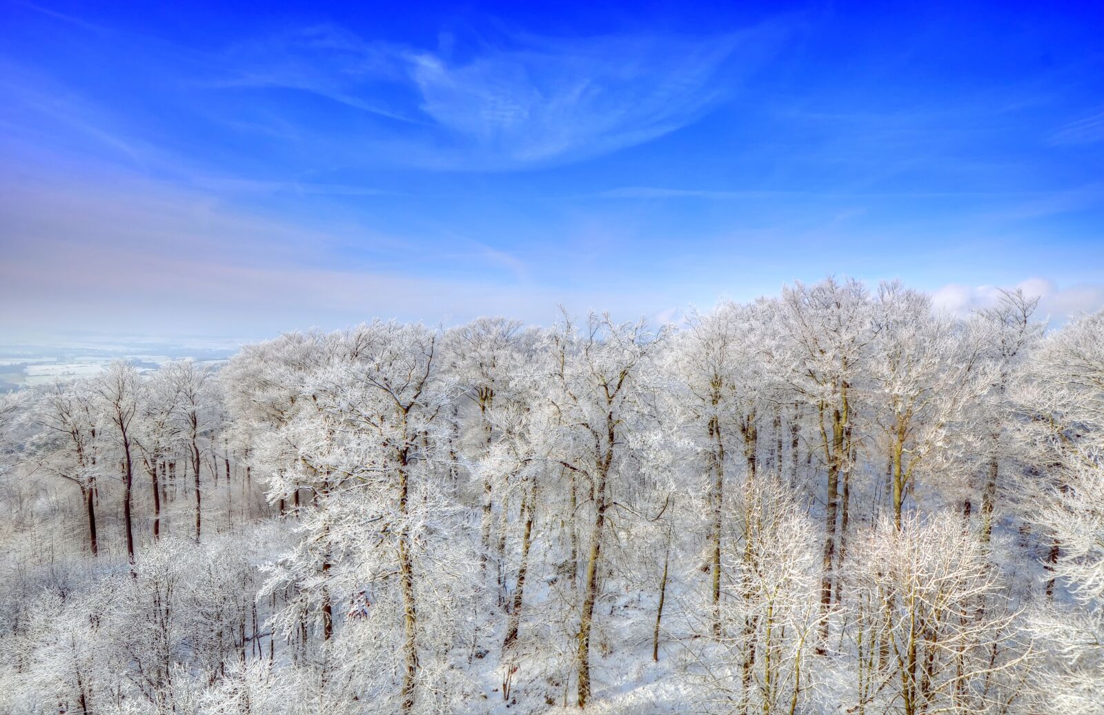 Nikon D90 sample photo. Winter, deister, trees photography