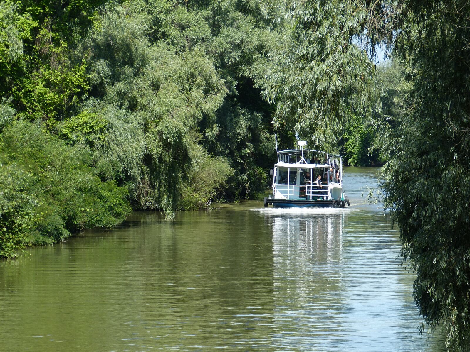 Panasonic Lumix DMC-FZ150 sample photo. Danube, danube delta, delta photography