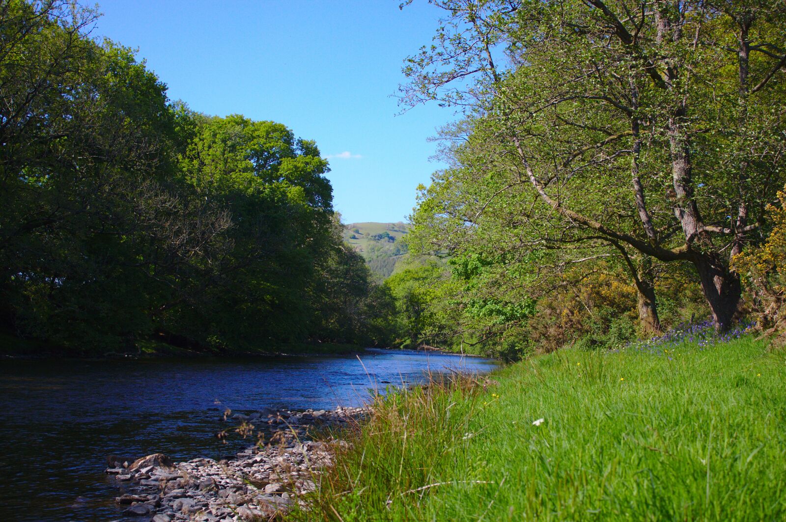 Canon EOS 50D sample photo. River, sky, trees photography