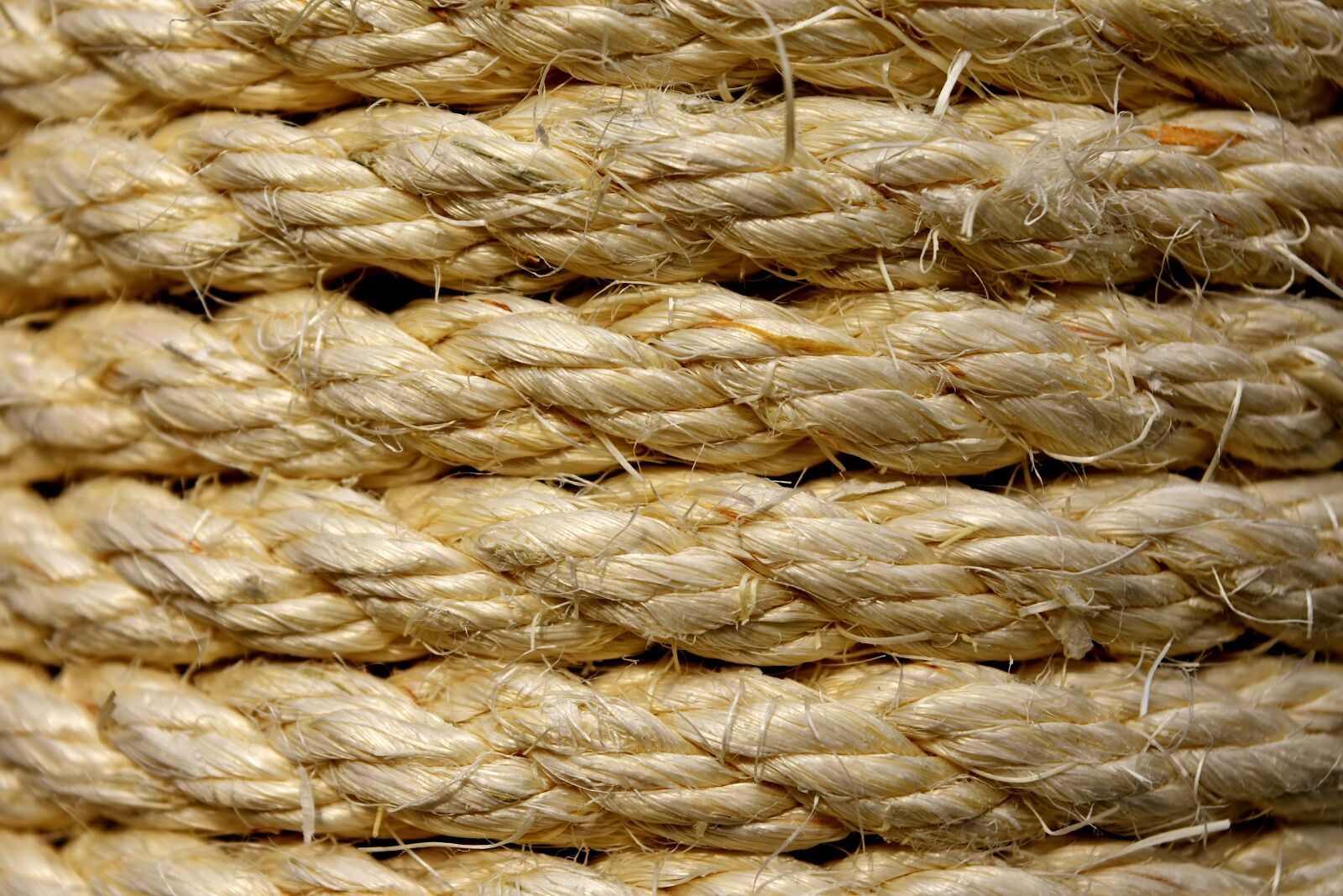 Nikon D7200 sample photo. Sisal, cord, wrapped photography