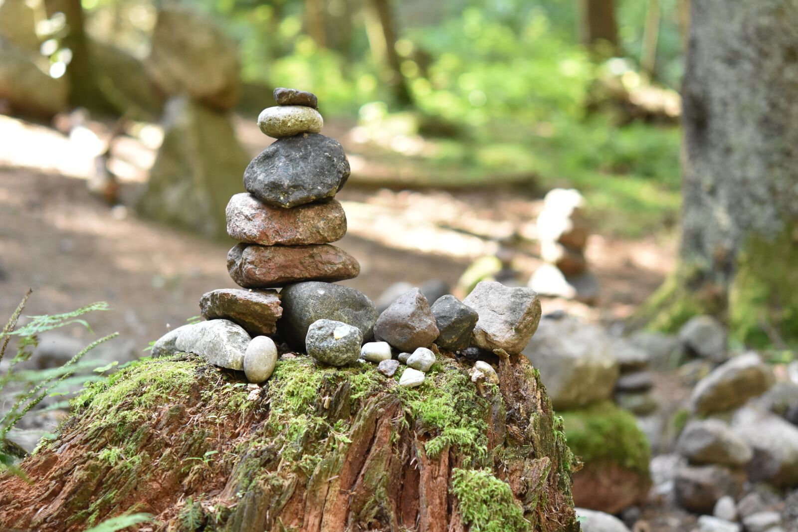 Nikon D3400 sample photo. Stones, yoga, meditation photography