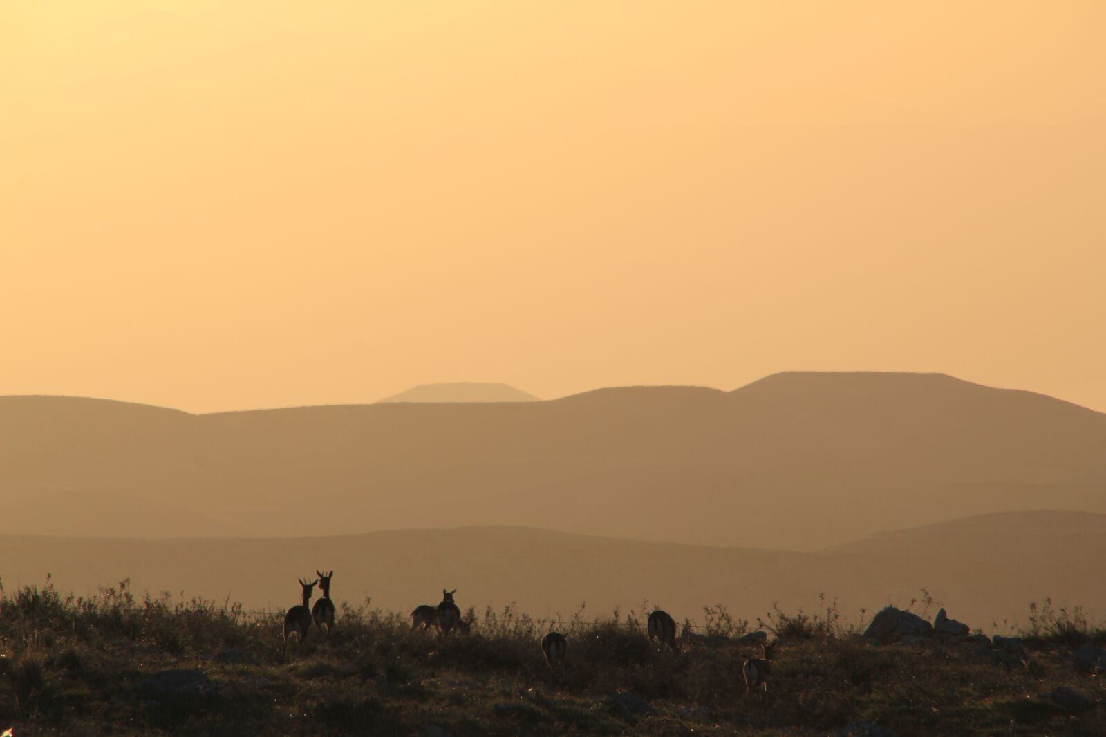Canon EOS 550D (EOS Rebel T2i / EOS Kiss X4) sample photo. Sunset, sky, landscape photography