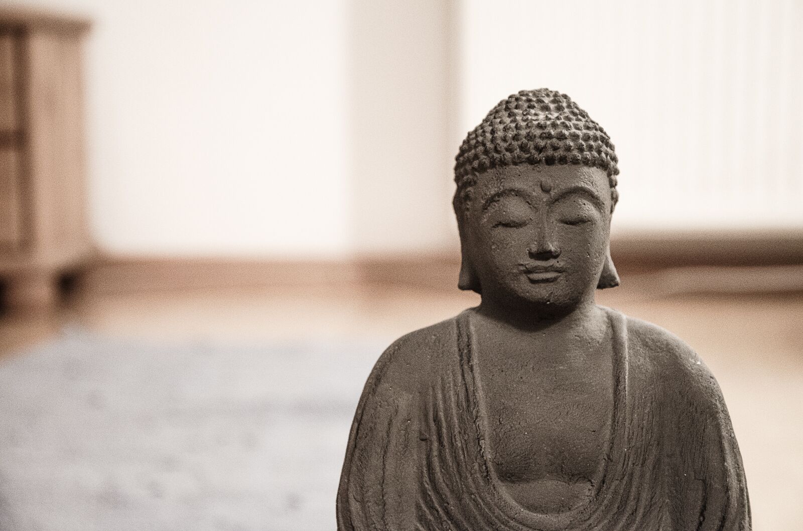 Nikon D5100 sample photo. Buddha, budhismus, ayurveda photography