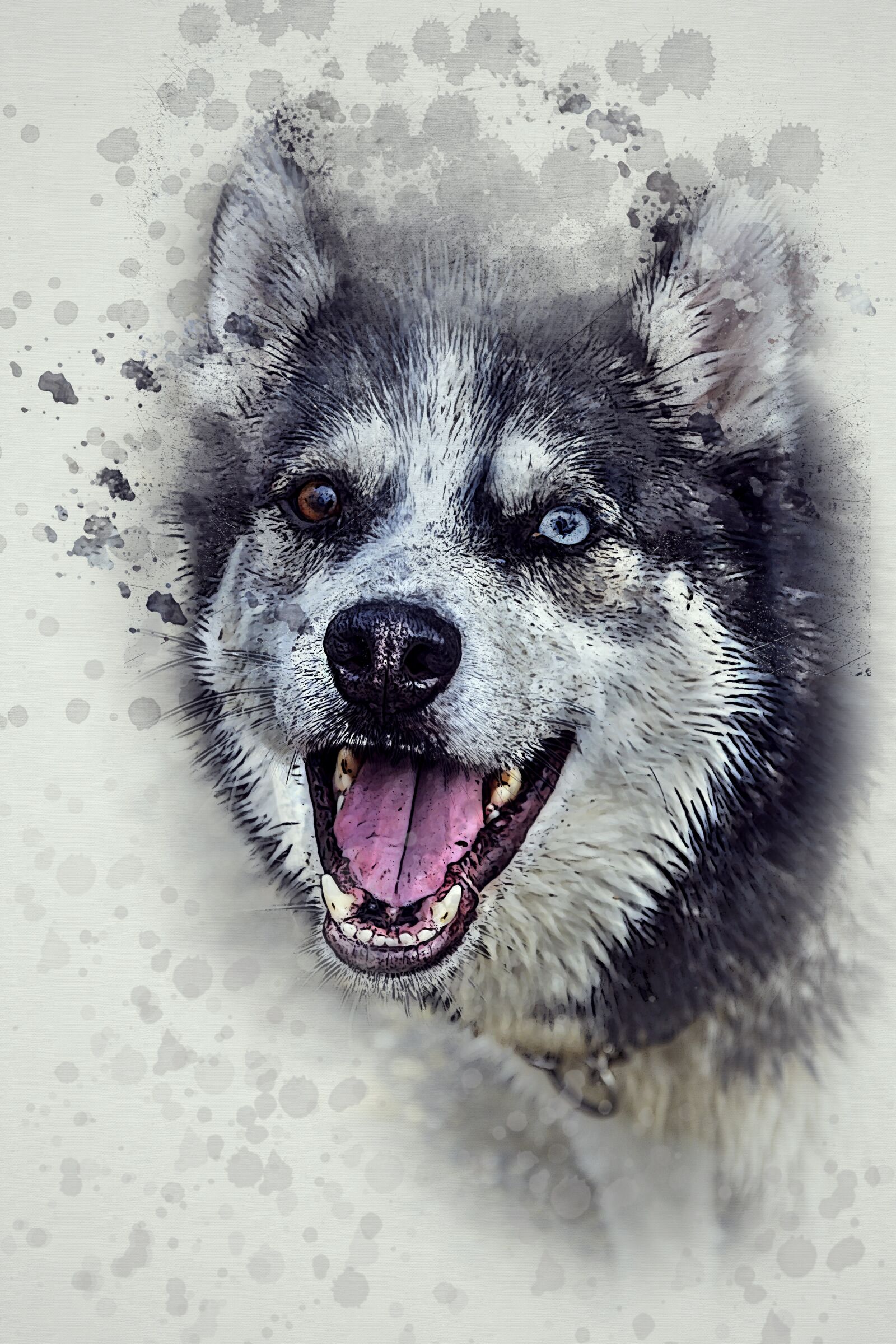 Nikon D5200 sample photo. Dog, husky, happy photography
