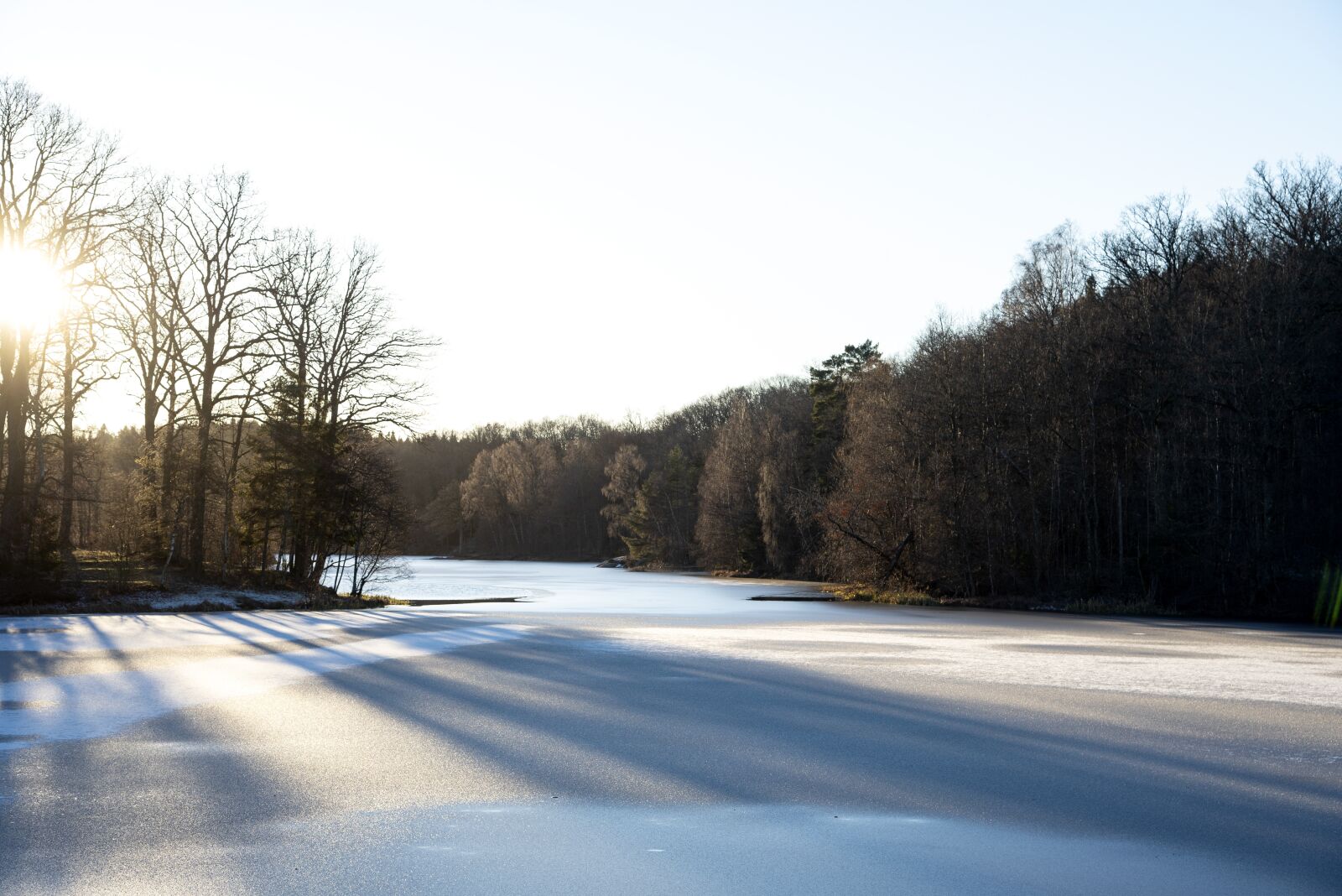Nikon D750 sample photo. Winter, ice, cold photography