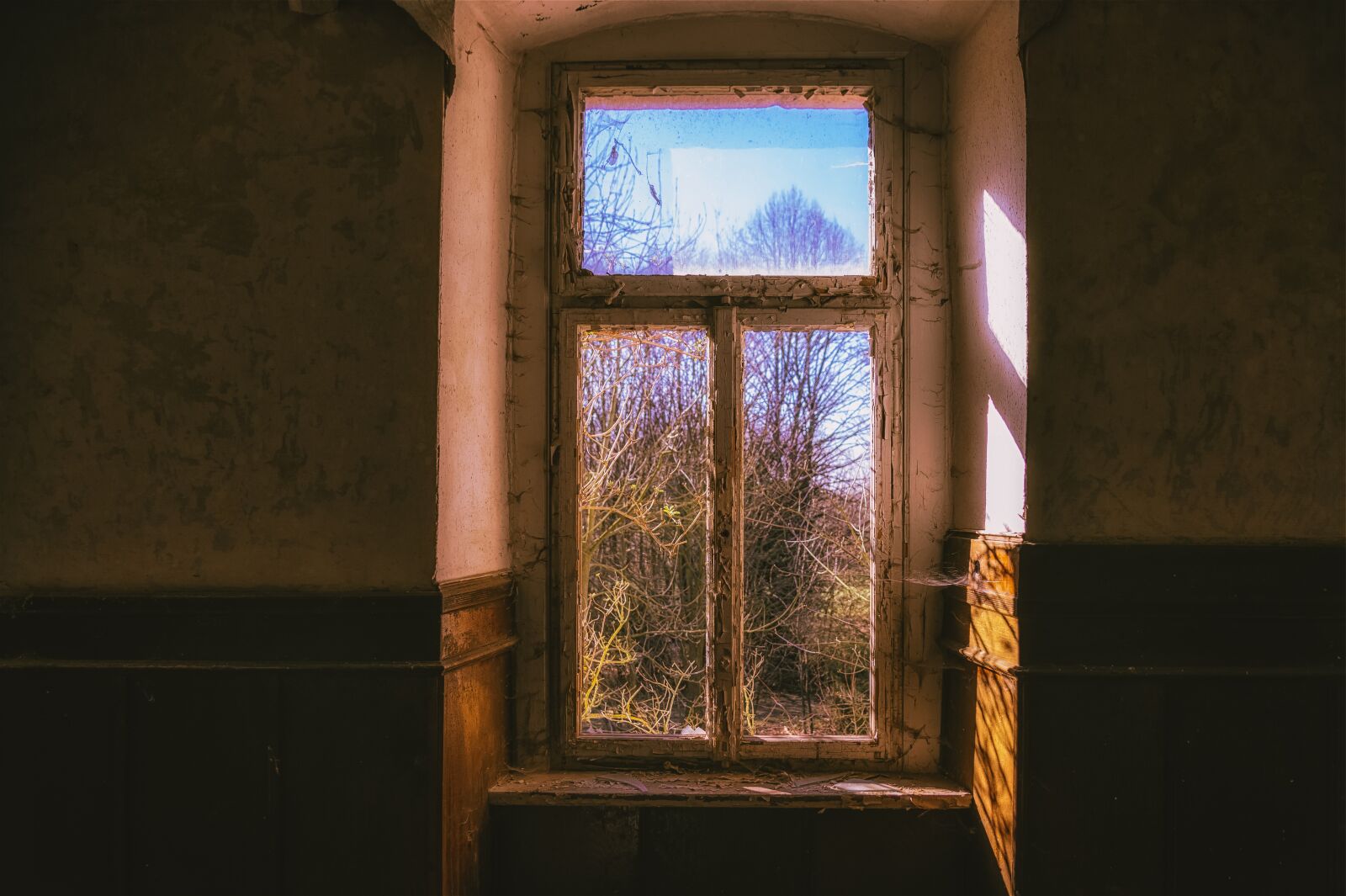 Nikon Z6 sample photo. Window, old, glass photography