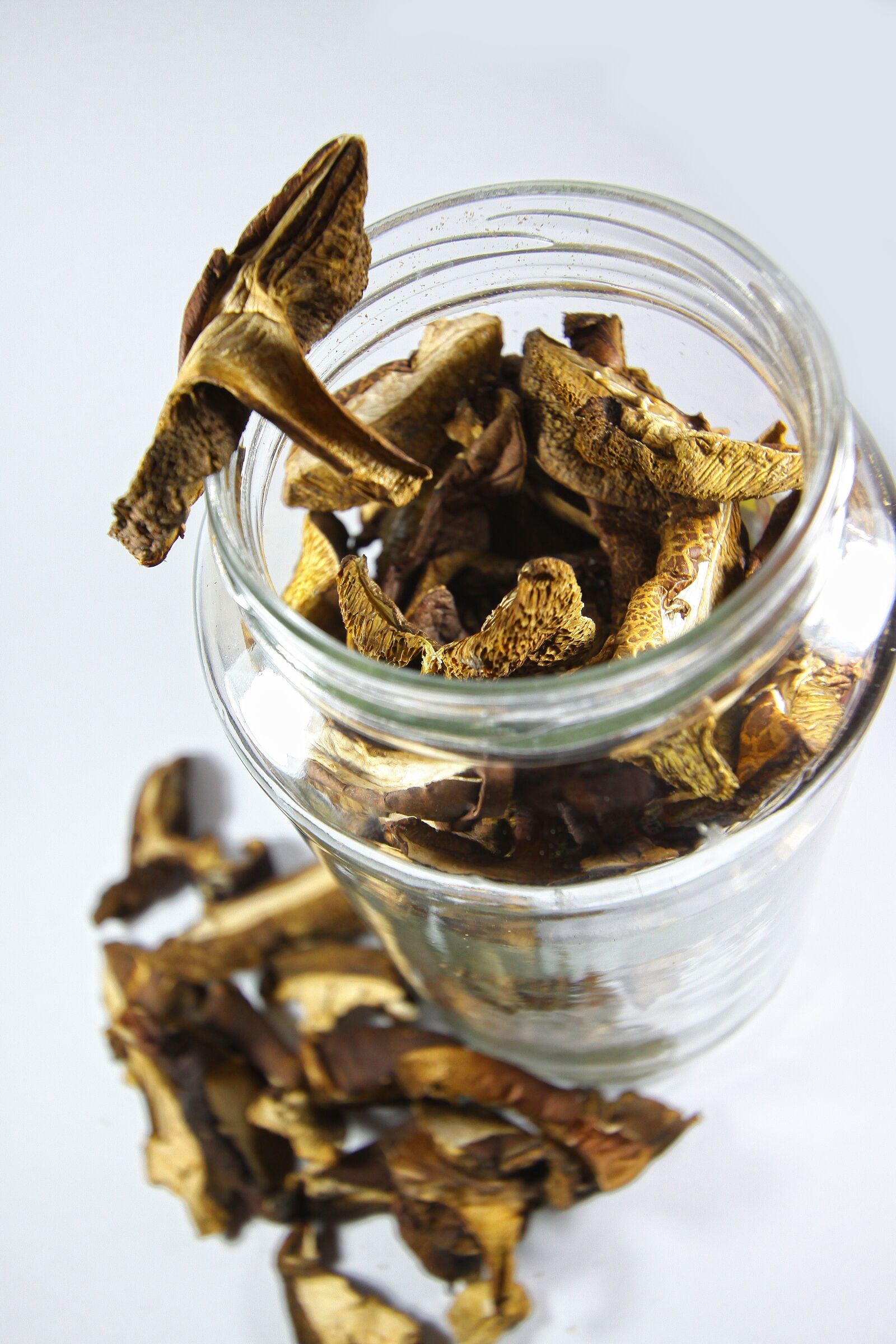 Canon EOS 50D sample photo. Mushrooms, dried, autumn photography