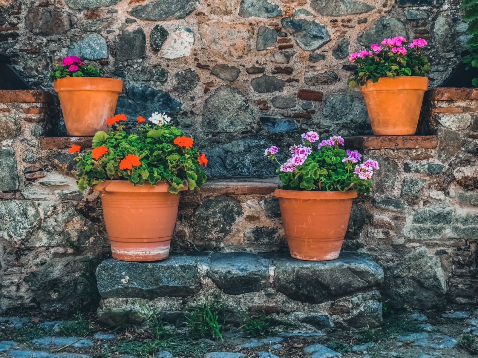 Nikon D3300 sample photo. Stairs, pottery, flowers photography