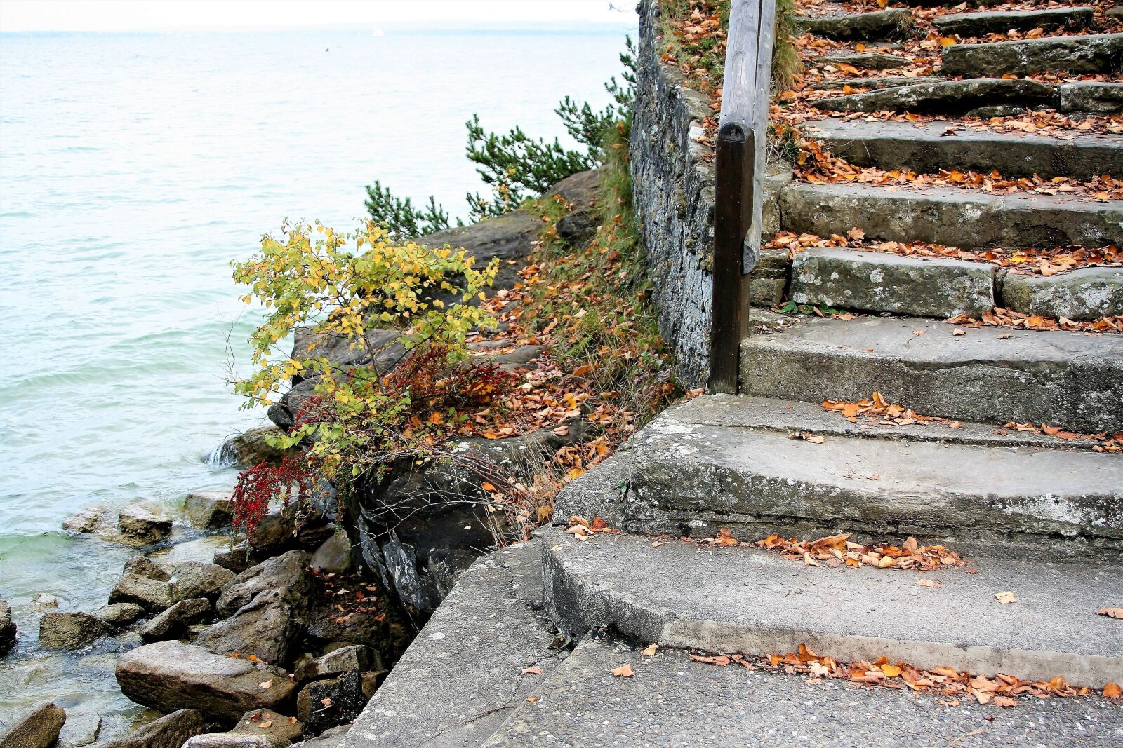 Canon EOS 400D (EOS Digital Rebel XTi / EOS Kiss Digital X) sample photo. Stone, stairs, morning photography