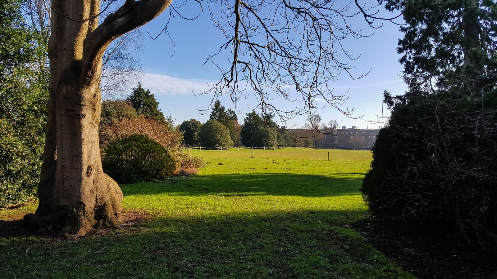 Samsung Galaxy S6 sample photo. Country, daylight, england photography
