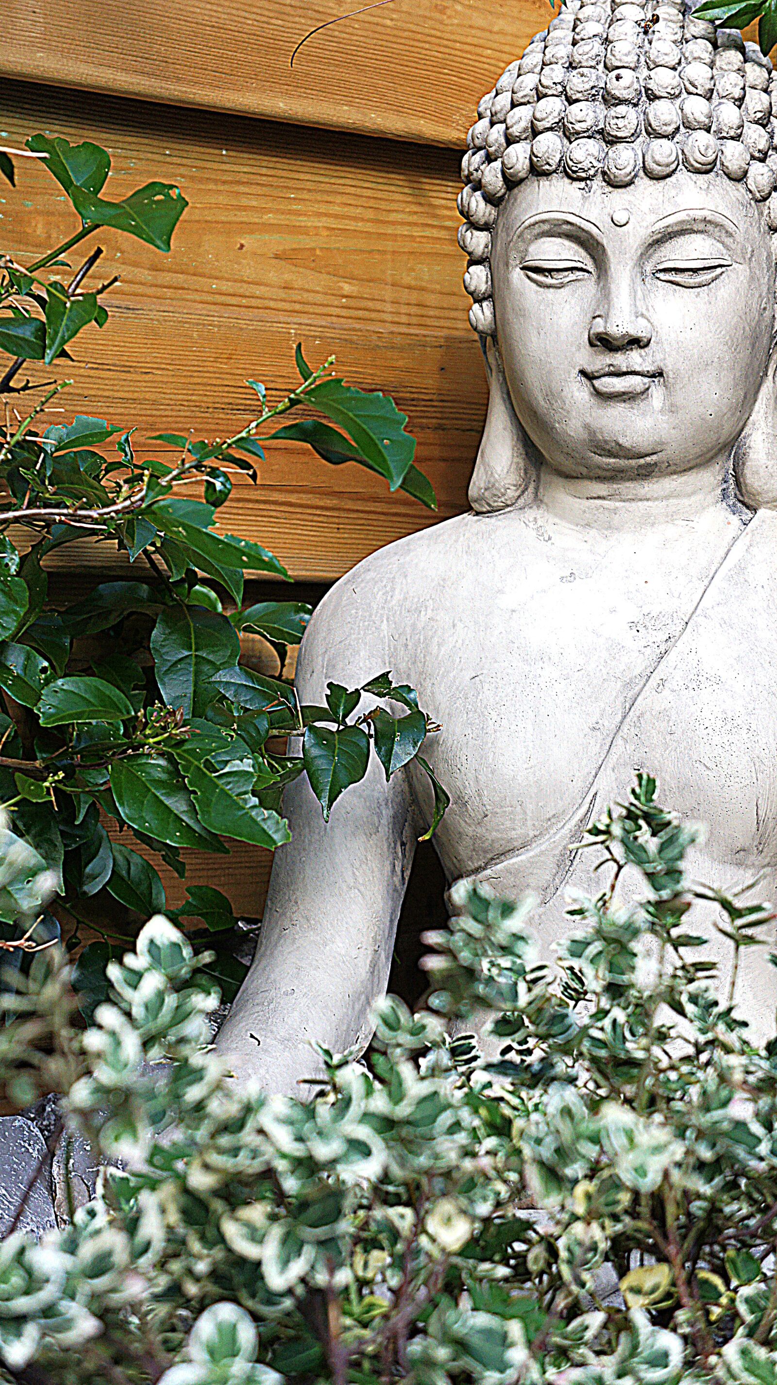 Sony Alpha NEX-5 + Sony E 18-55mm F3.5-5.6 OSS sample photo. Buddha, buddha statue, garden photography
