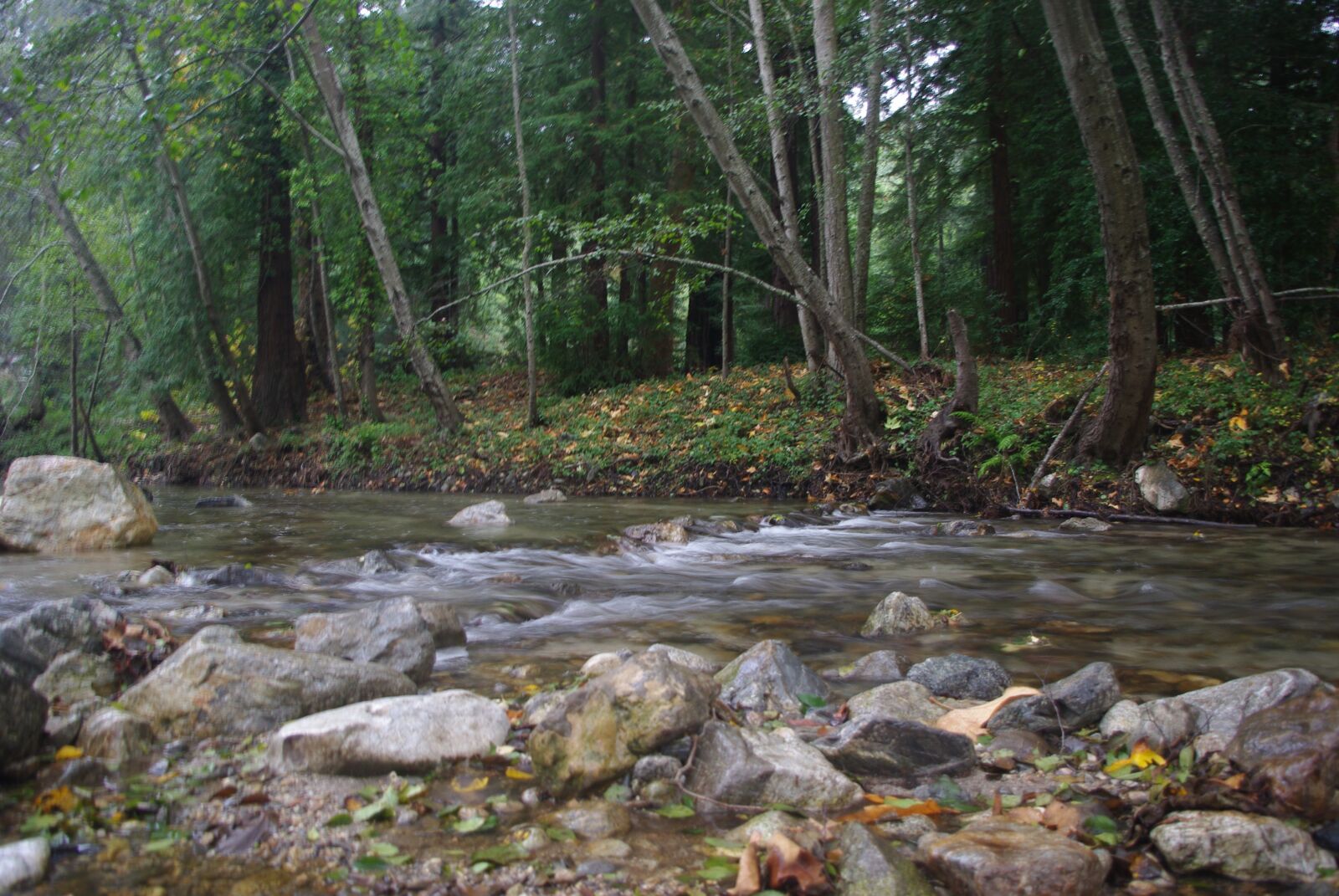 Pentax K200D sample photo. Creek, river mountain, california photography