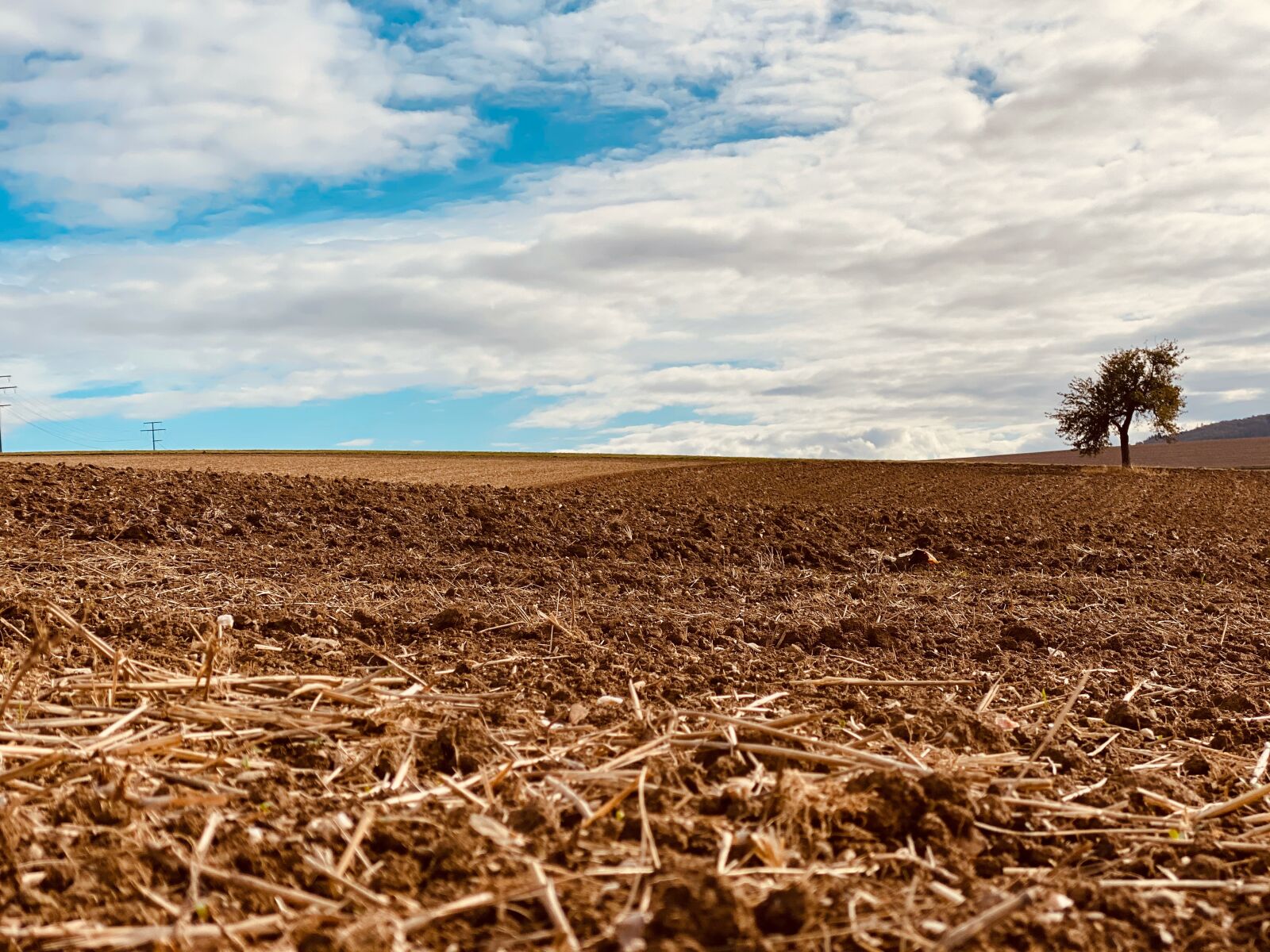 iPhone 11 Pro back dual camera 6mm f/2 sample photo. Arable, autumn, field photography