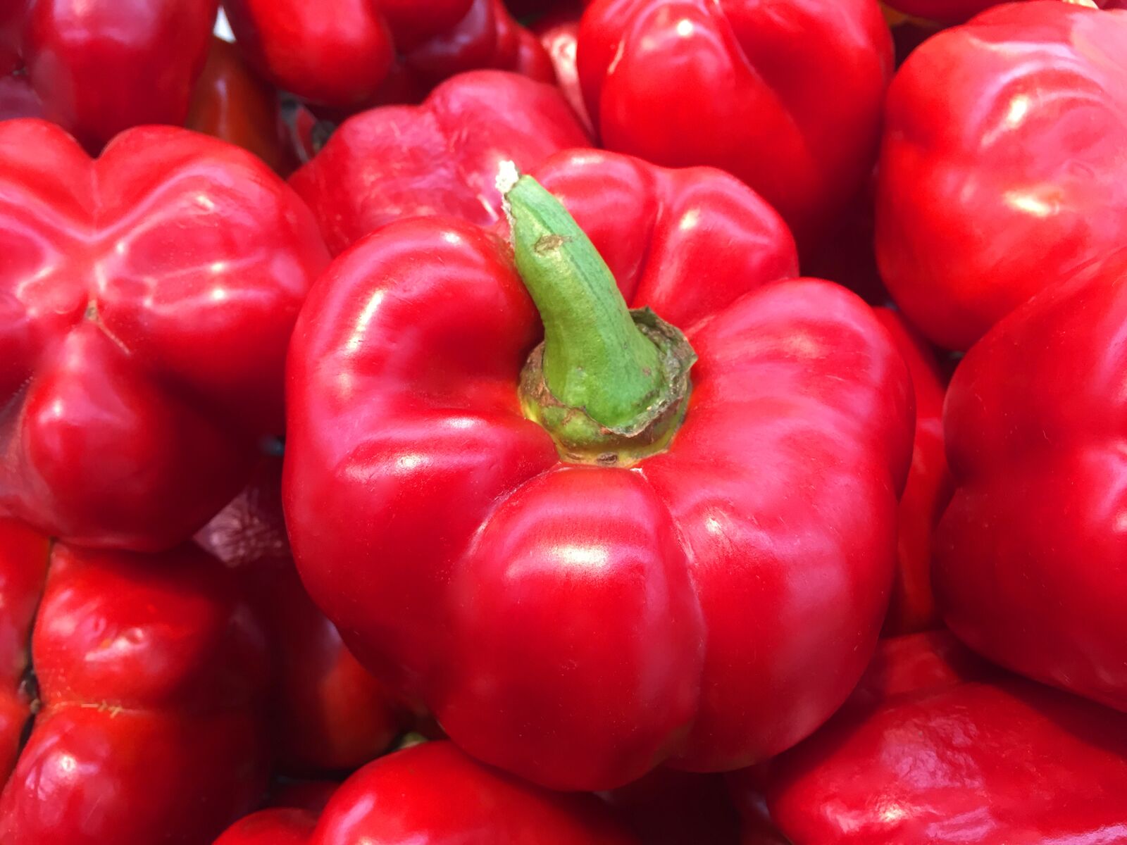 iPhone 6 back camera 4.15mm f/2.2 sample photo. Red pepper, red, food photography