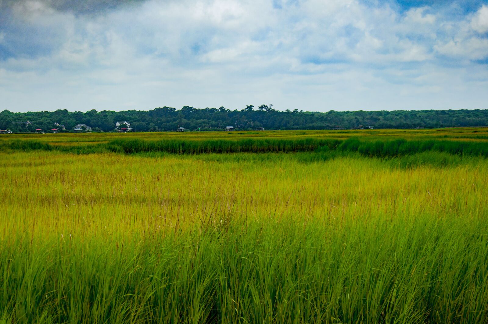 Nikon D90 sample photo. Marsh, south carolina, sky photography