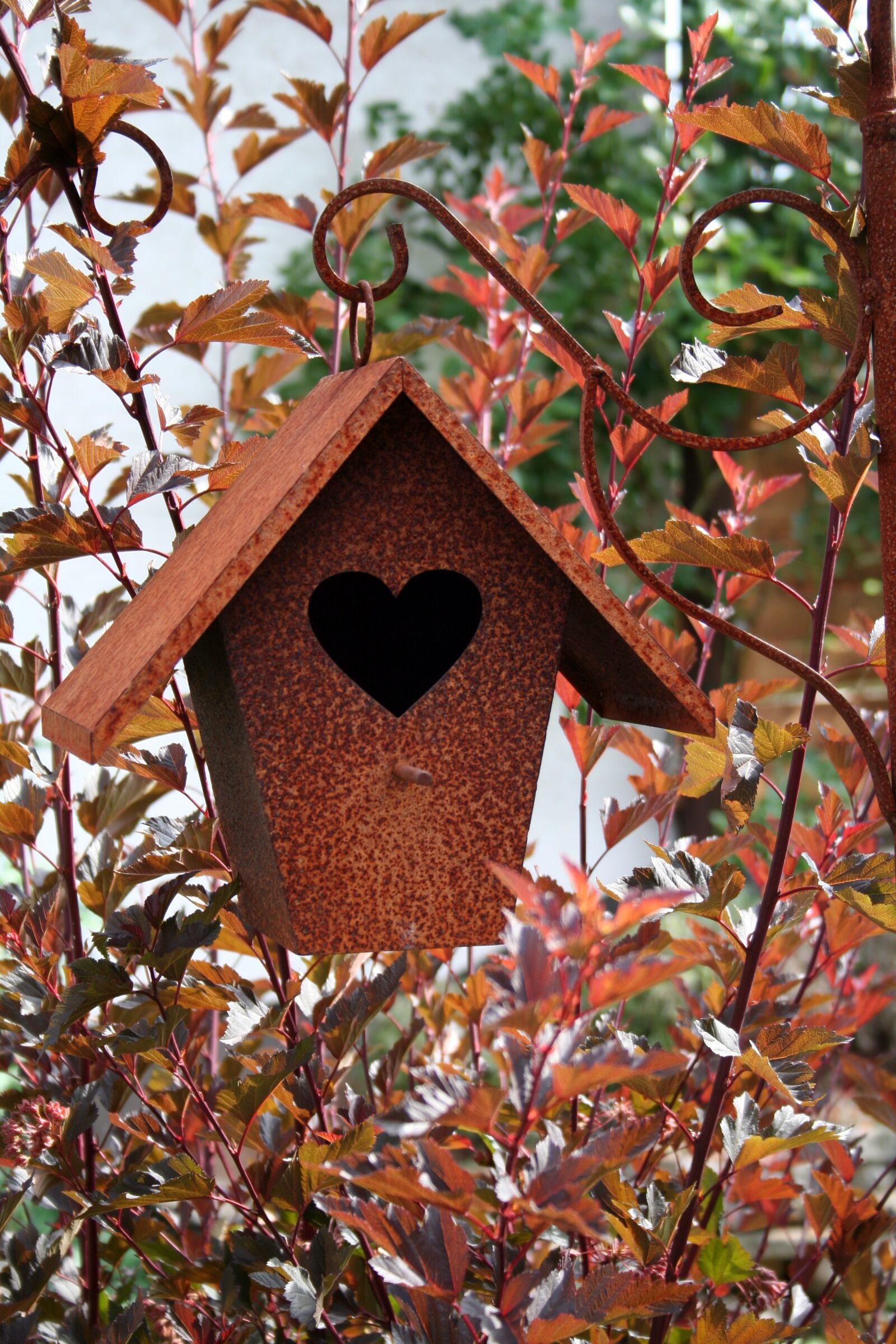 Canon EOS 350D (EOS Digital Rebel XT / EOS Kiss Digital N) sample photo. Bird feeder, heart, love photography