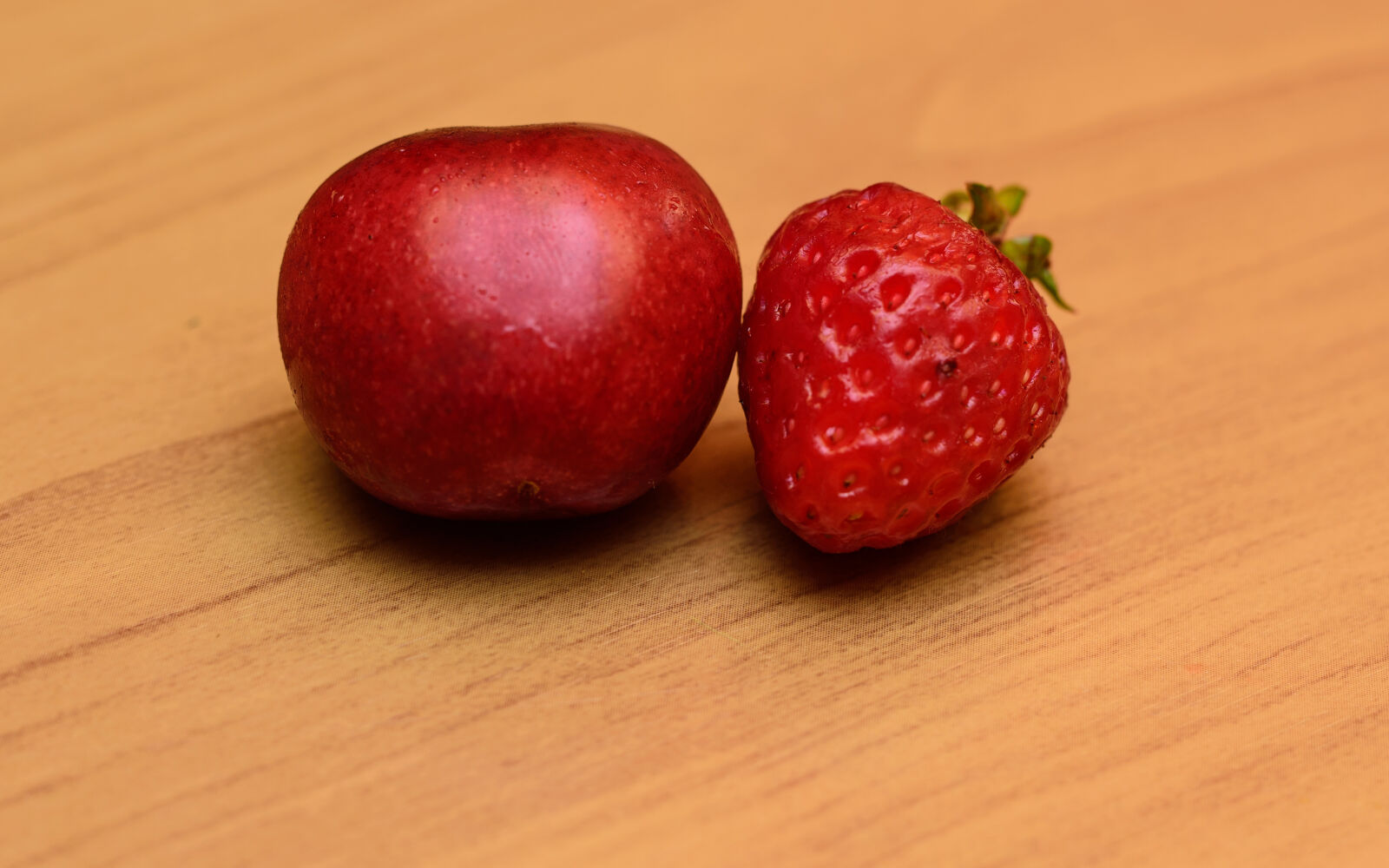 Sigma 50mm F1.4 DG HSM Art sample photo