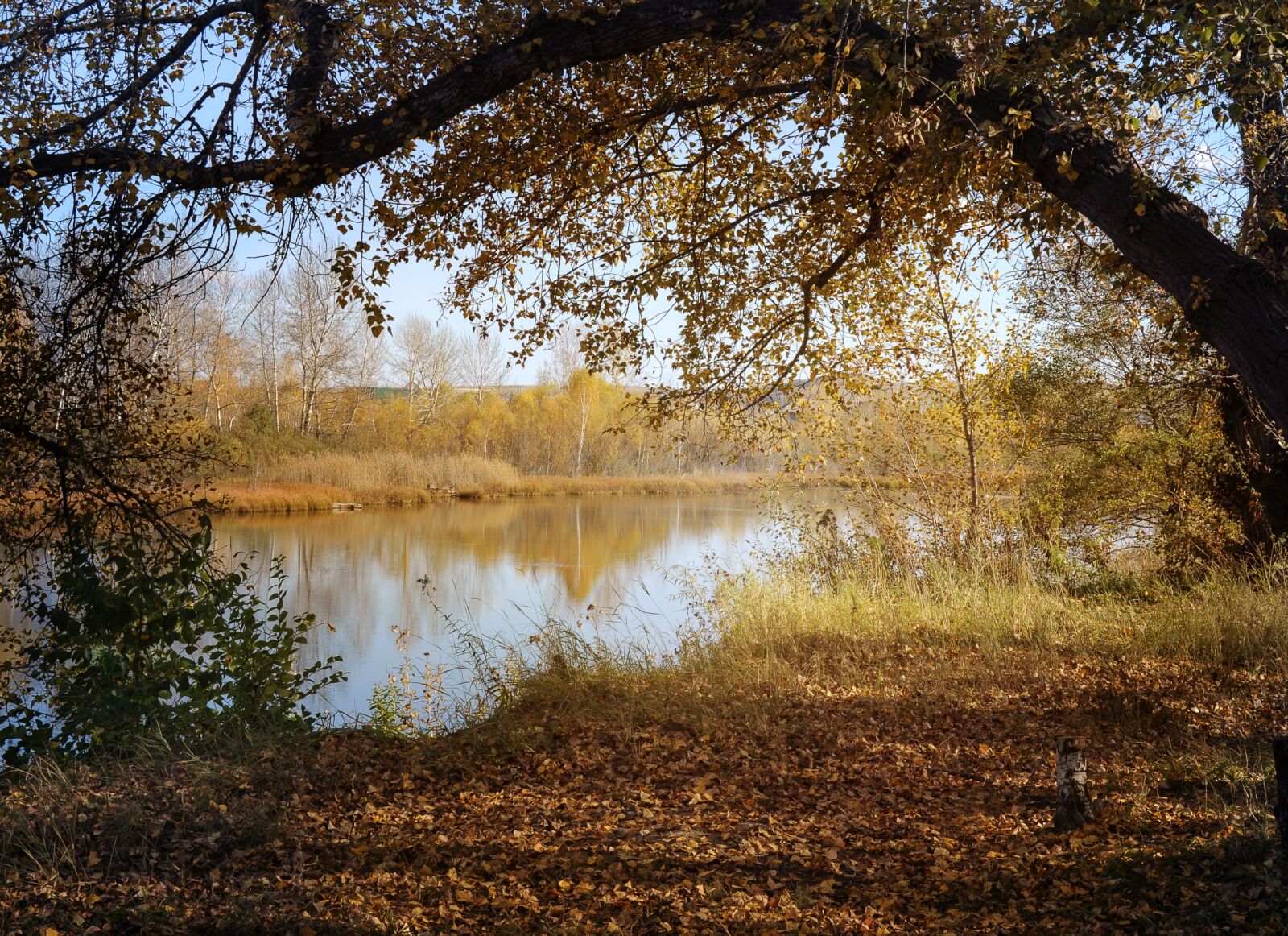 Nikon D5000 sample photo. Landscape, autumn, trail photography