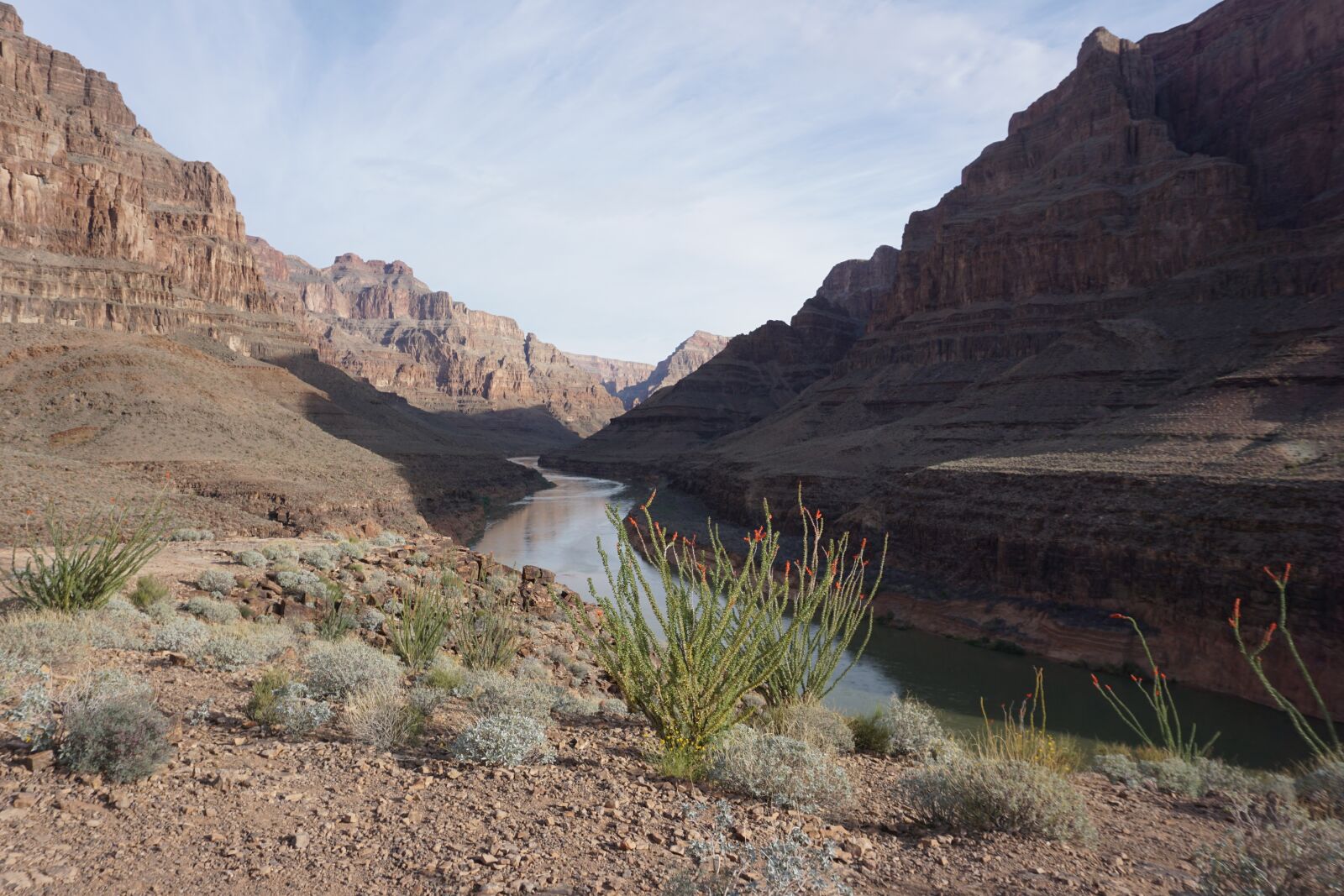 Sony a6000 sample photo. Grand canyon, park, geology photography