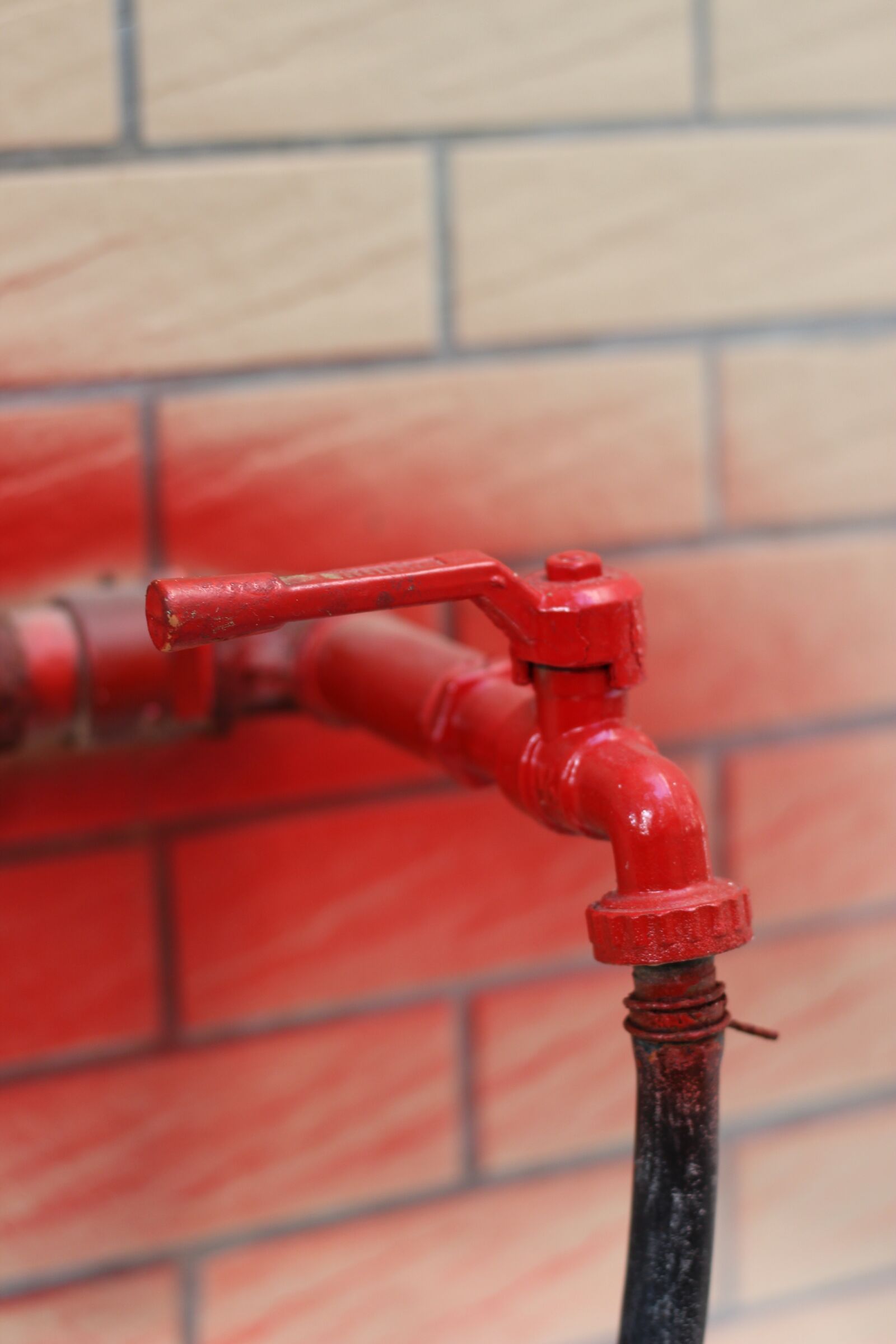 Canon EOS 600D (Rebel EOS T3i / EOS Kiss X5) + Canon EF 50mm F1.8 STM sample photo. Red tap, brick wall photography