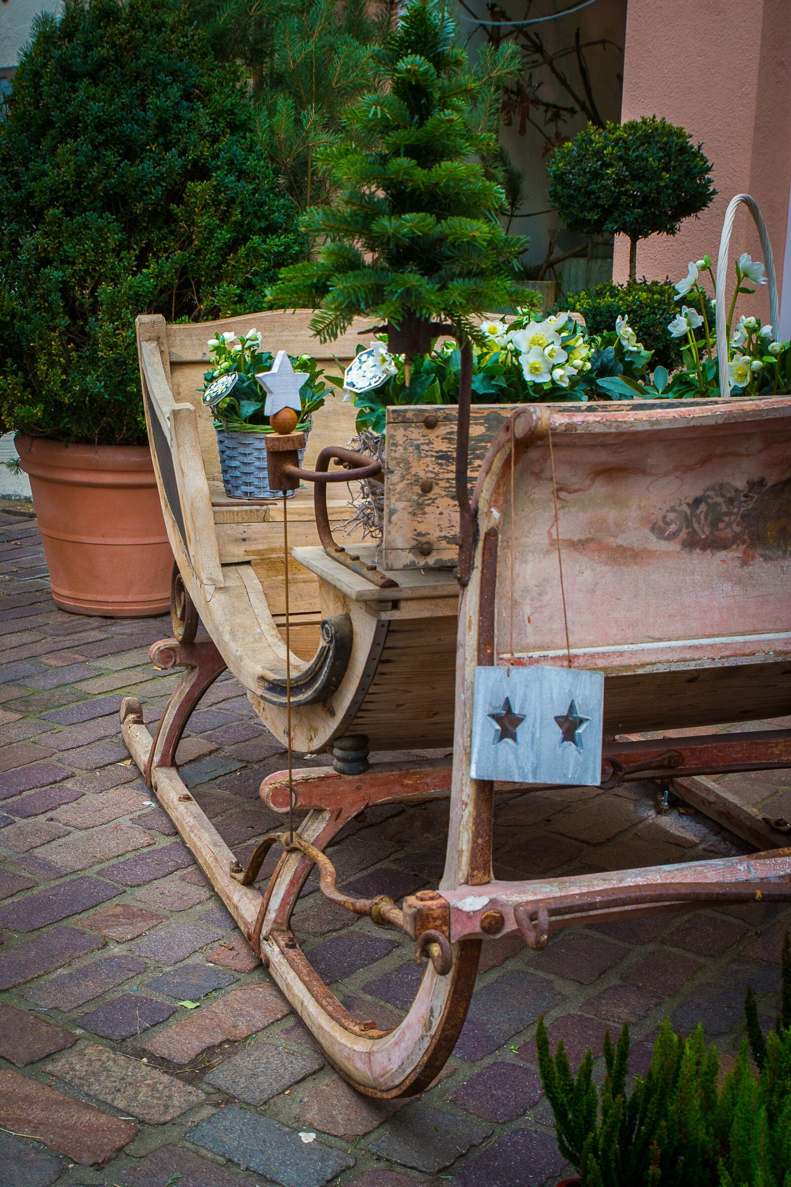 Canon EOS 5D Mark III sample photo. Slide, sleigh ride, sleigh photography