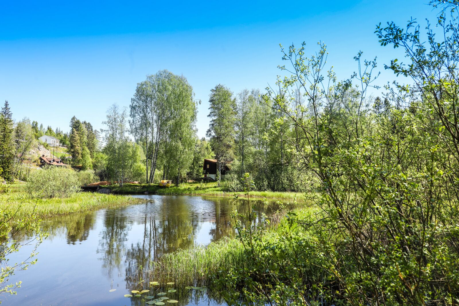 Canon EOS R sample photo. Water, lake, trees photography