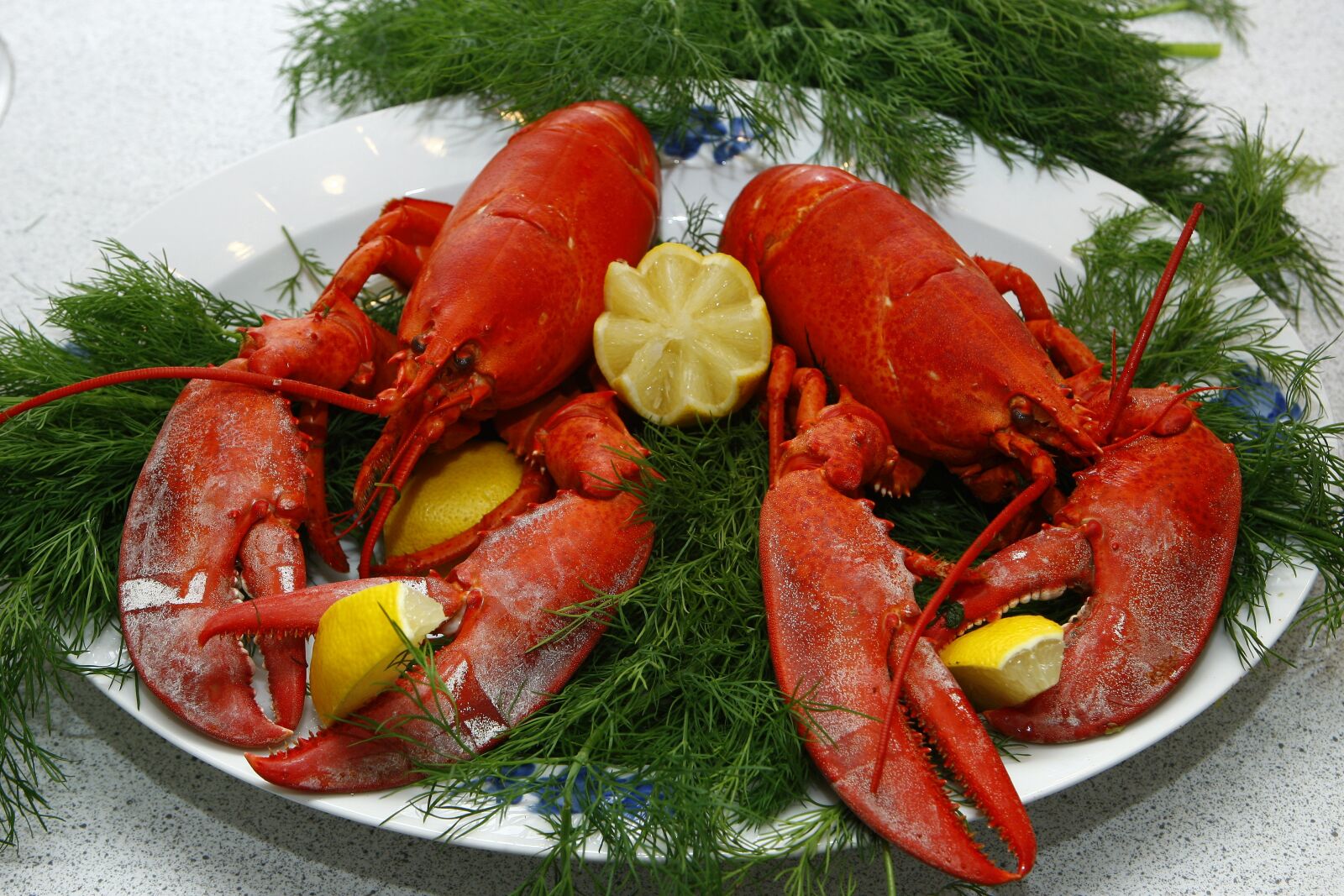 Canon EOS-1D Mark III sample photo. Lobster, cooked, danish photography