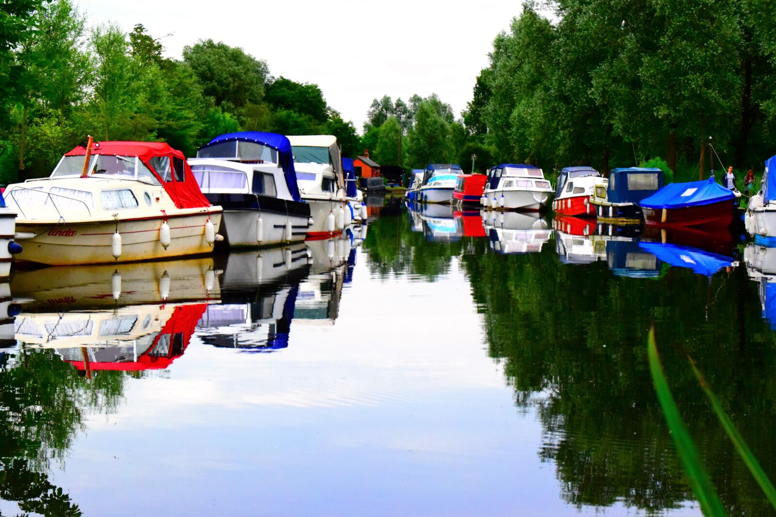 Nikon D3300 sample photo. Carnal boat, water, tree photography