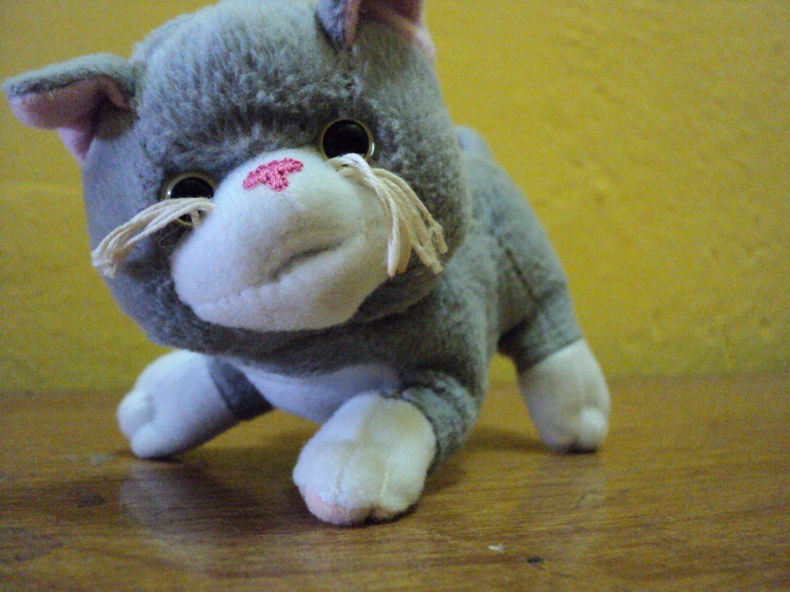 Sony DSC-S2000 sample photo. Plush, cat, toy, table photography