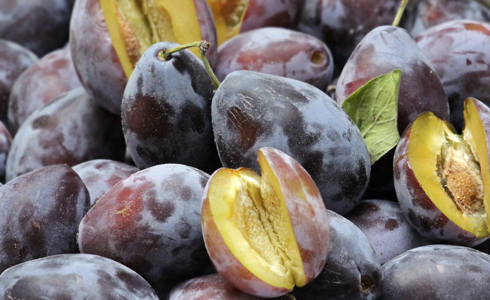 Canon EOS 100D (EOS Rebel SL1 / EOS Kiss X7) sample photo. Plums, fruit, fruits photography