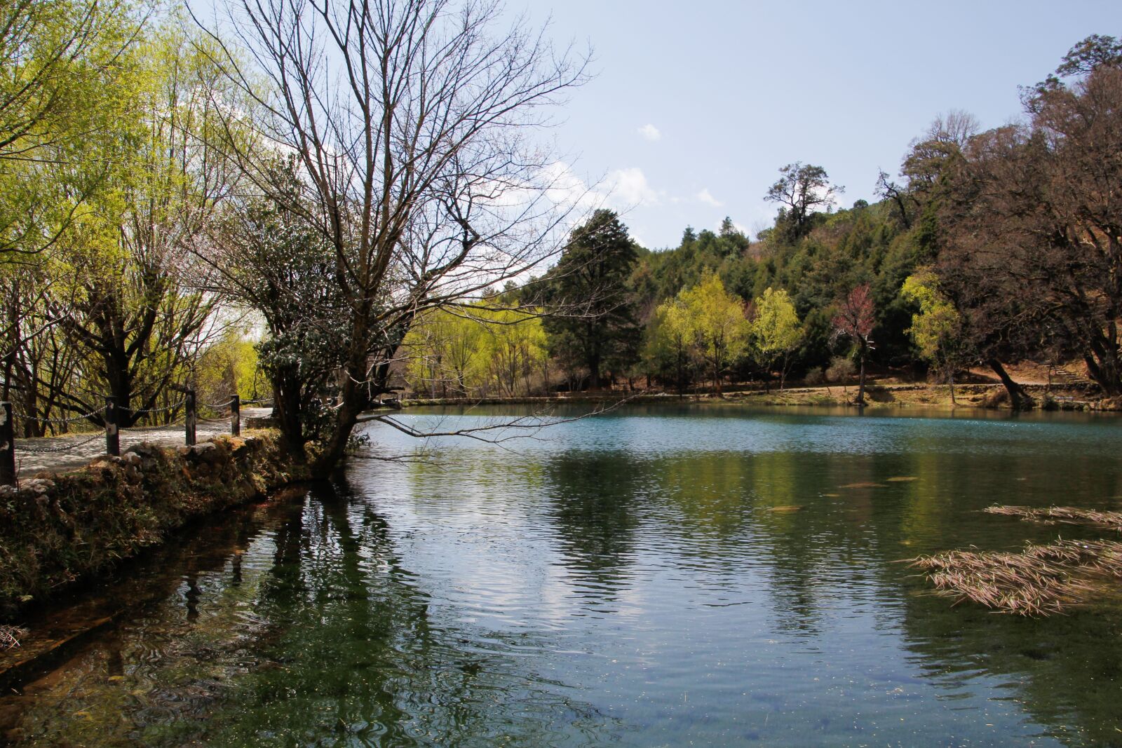 Canon EOS 60D sample photo. Lake, reflection, the scenery photography