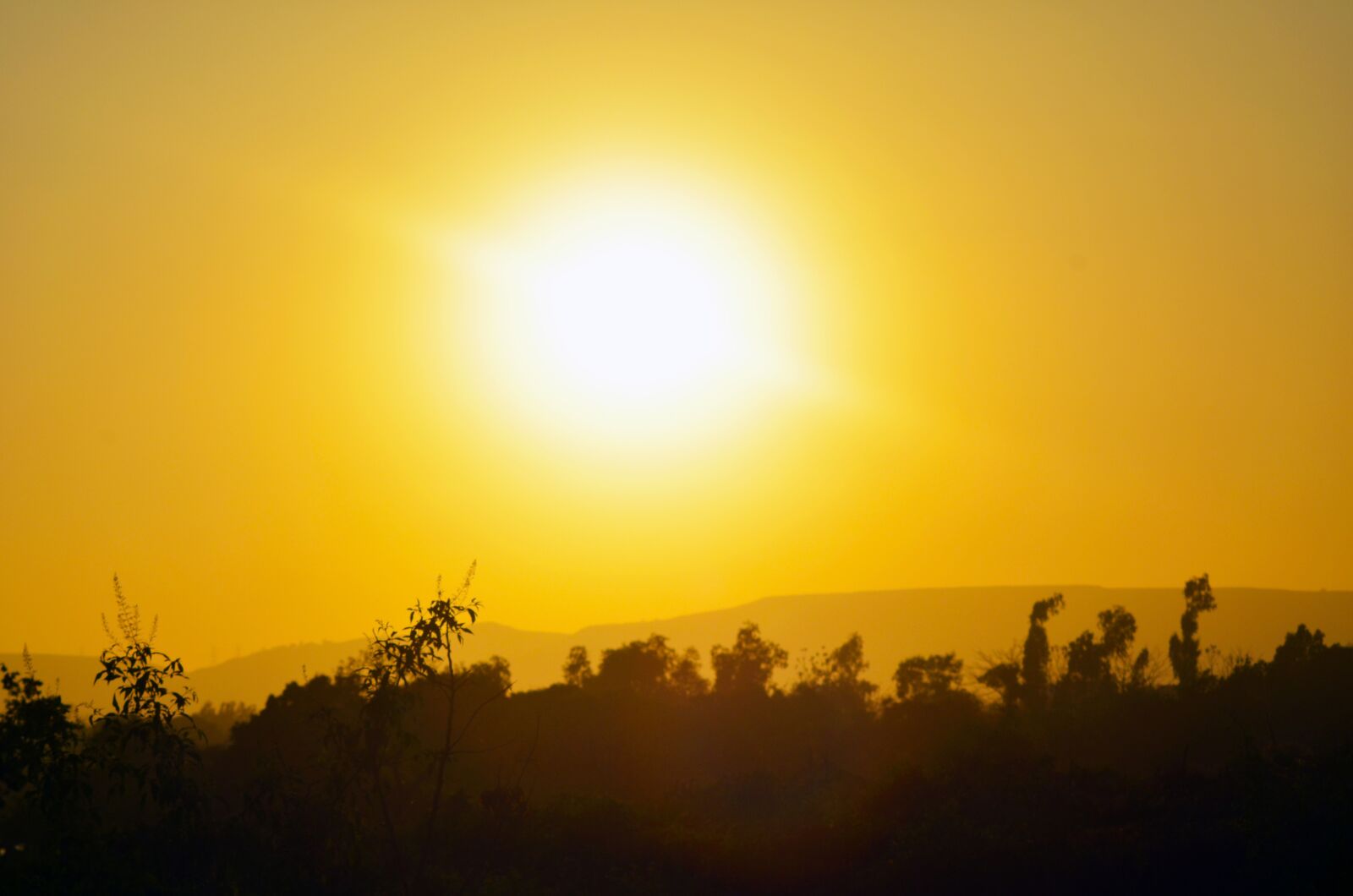 Nikon D5100 sample photo. Sunset, dawn, nature photography