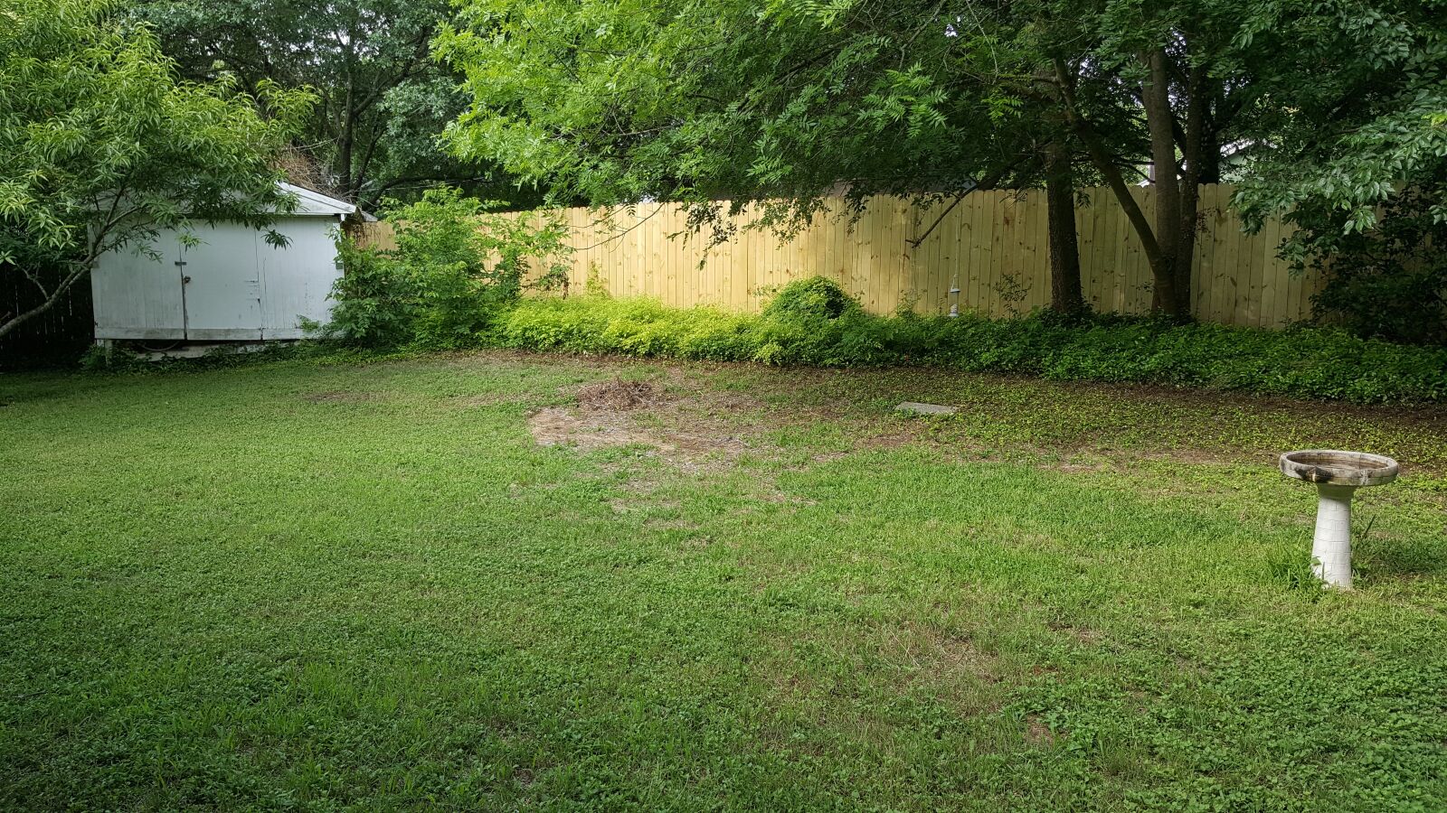 Samsung Galaxy Note5 sample photo. Backyard, yard, grass photography