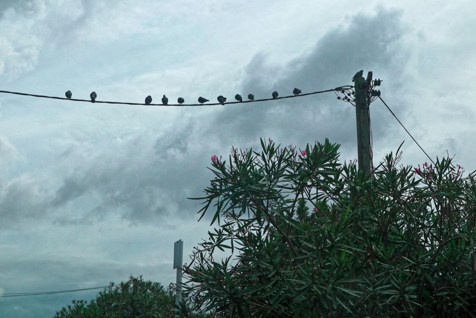 Canon EOS M100 sample photo. Sky, nature, outdoors photography