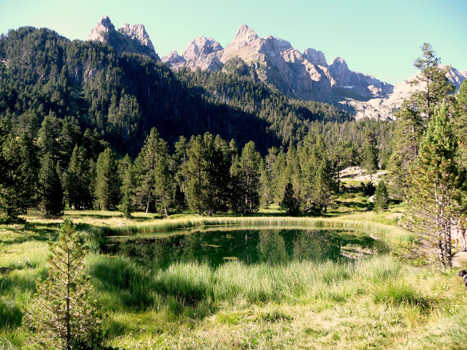 Panasonic Lumix DMC-TZ4 sample photo. Benasque valley, mountain, pyrenees photography