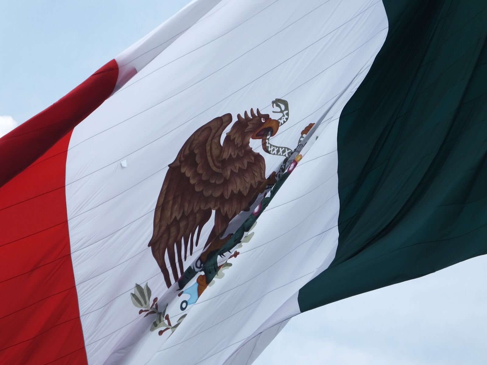 Fujifilm FinePix HS50 EXR sample photo. Mexico, flag, coat of photography