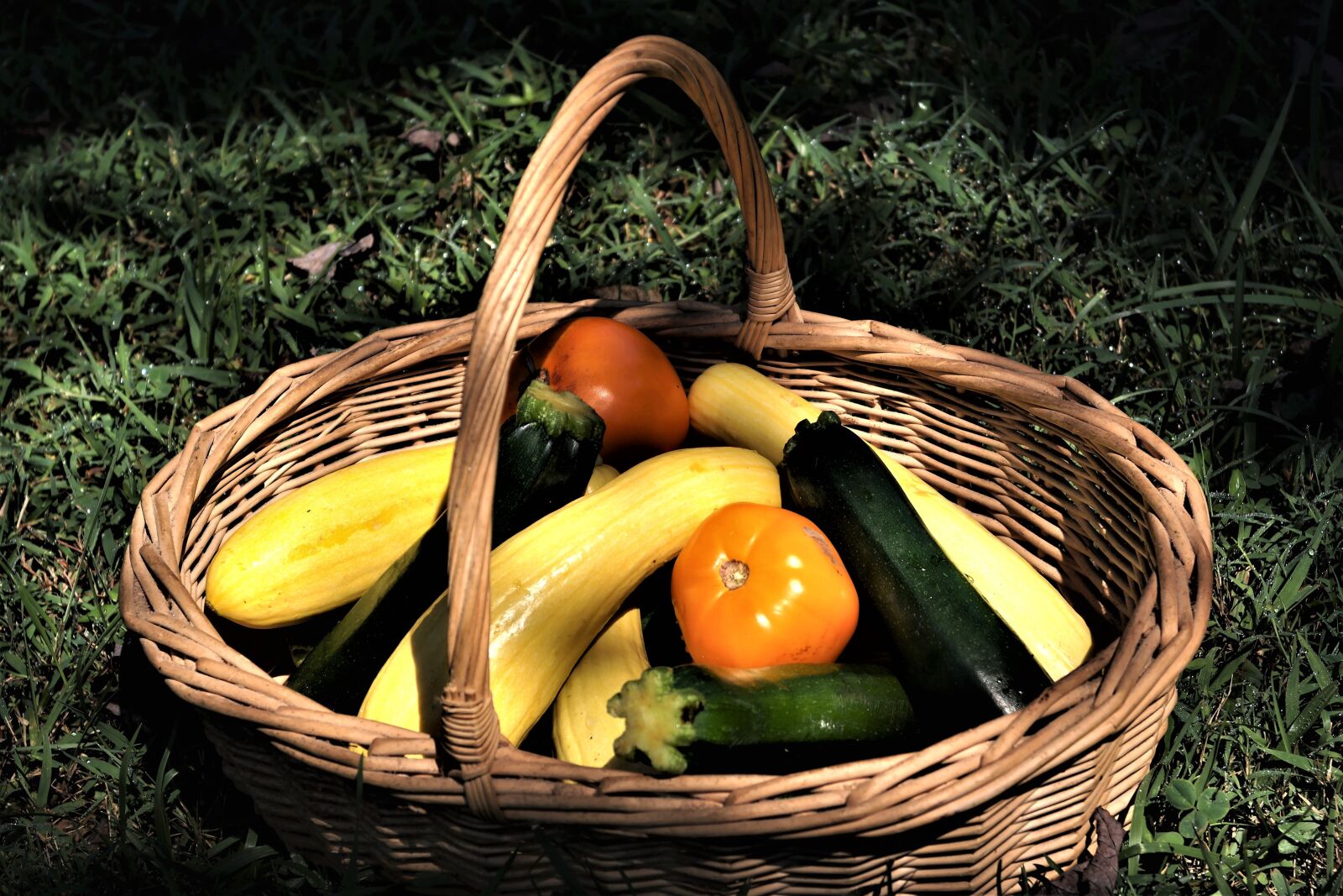 Samsung NX2000 sample photo. Basket, squash, zucchini photography