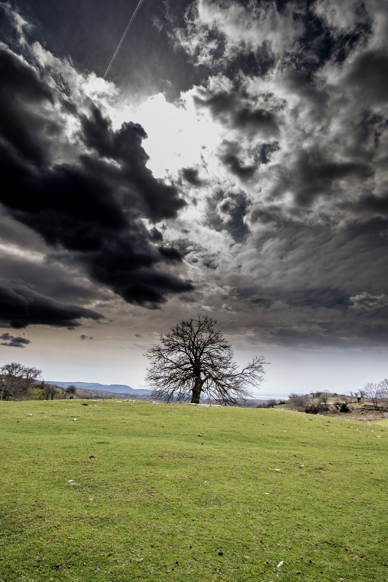 Nikon D7200 sample photo. Nature, landscape, grass photography