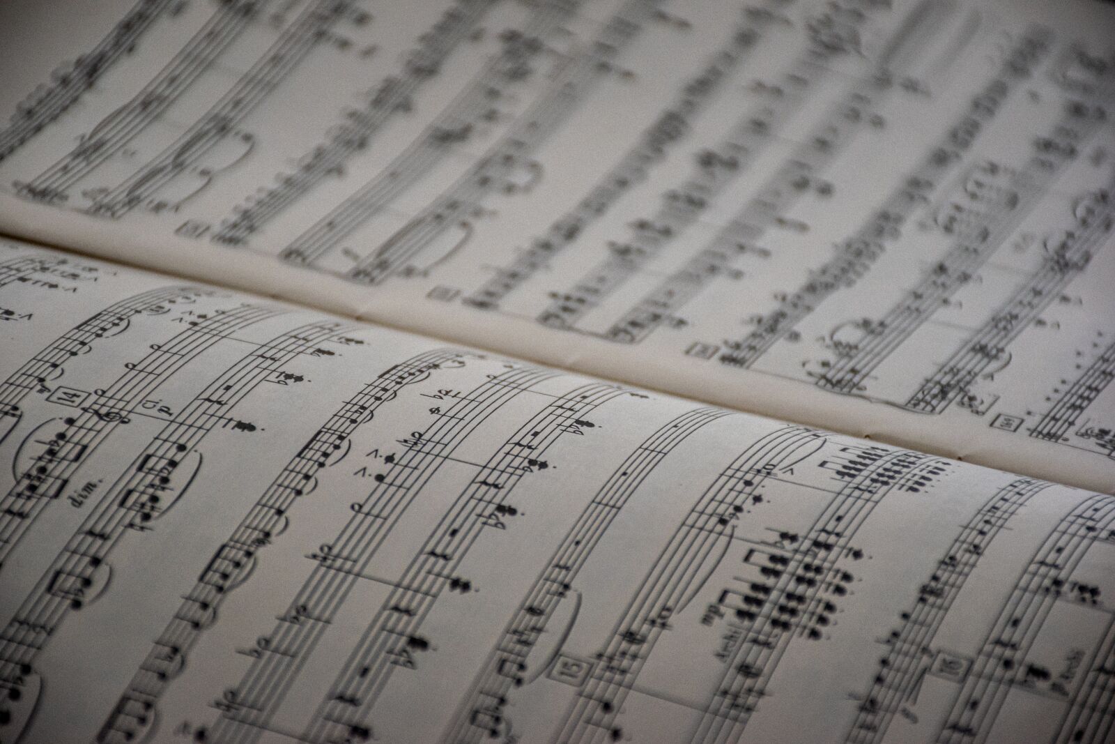 Nikon D5600 sample photo. Intro, music notes, sheet photography
