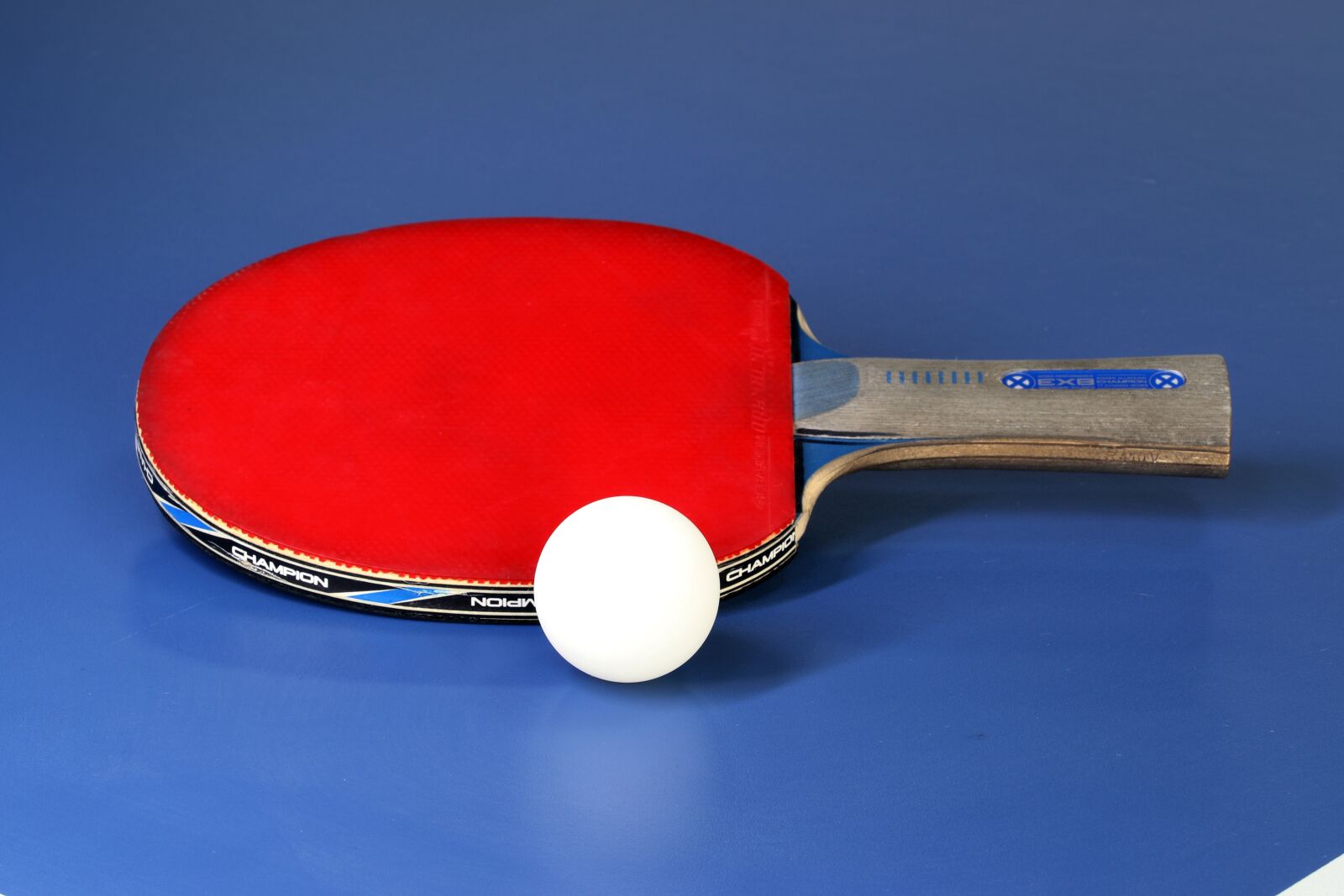 Canon EOS 800D (EOS Rebel T7i / EOS Kiss X9i) sample photo. Table tennis, sport, games photography