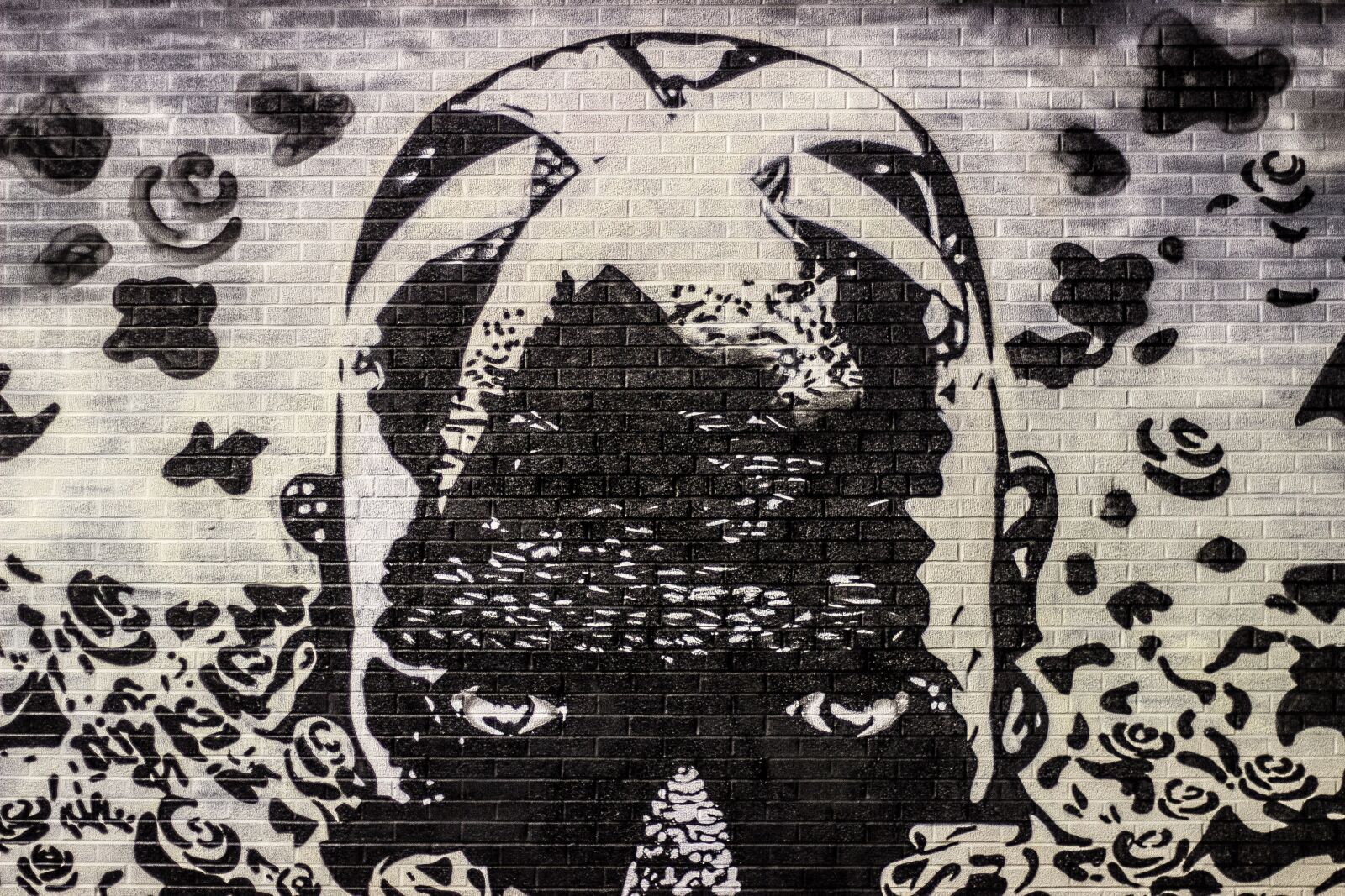 Canon EF 50mm F1.8 STM sample photo. Graffiti, street art, mural photography
