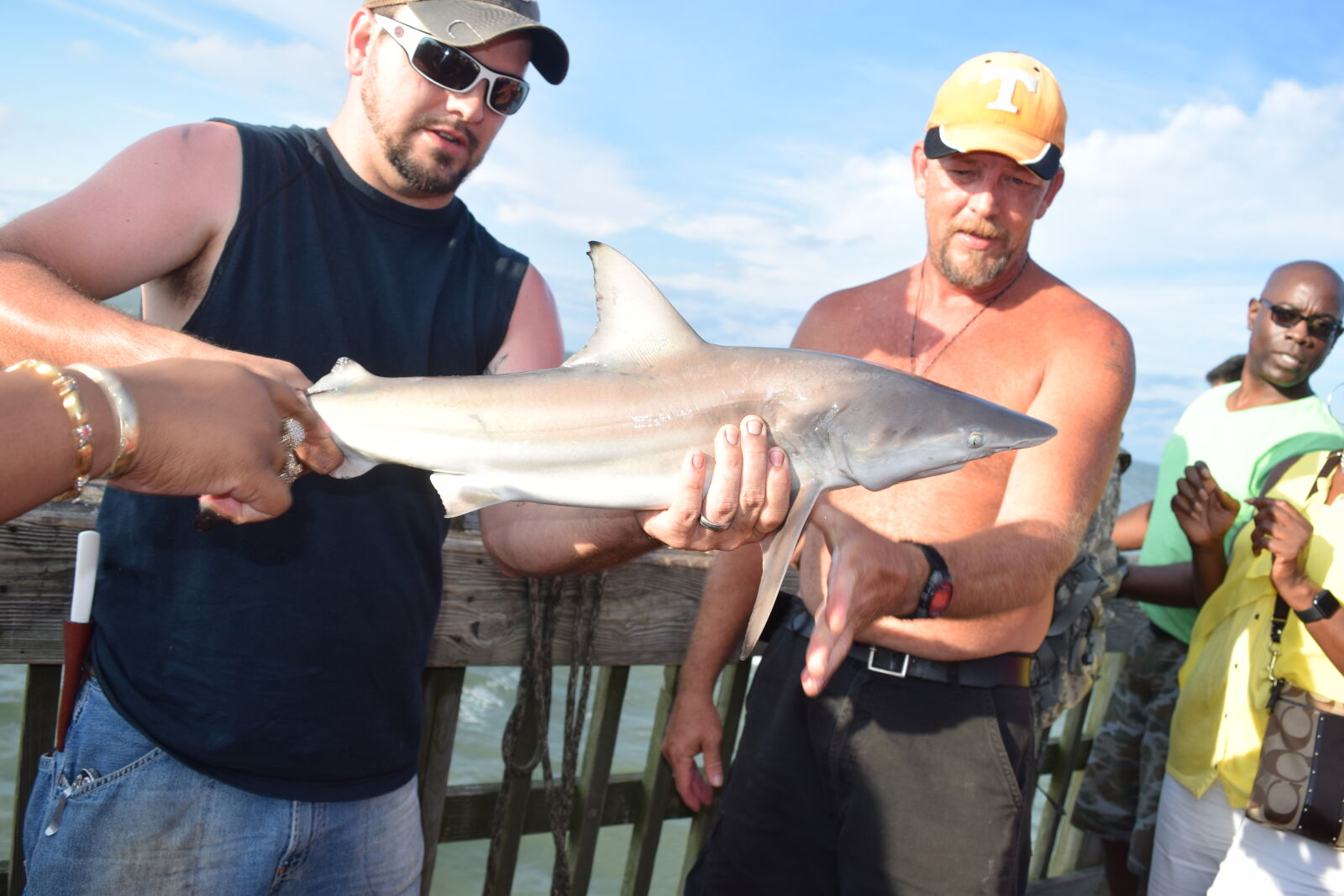 Nikon D3300 sample photo. Fishing, shark, tybee, beach photography