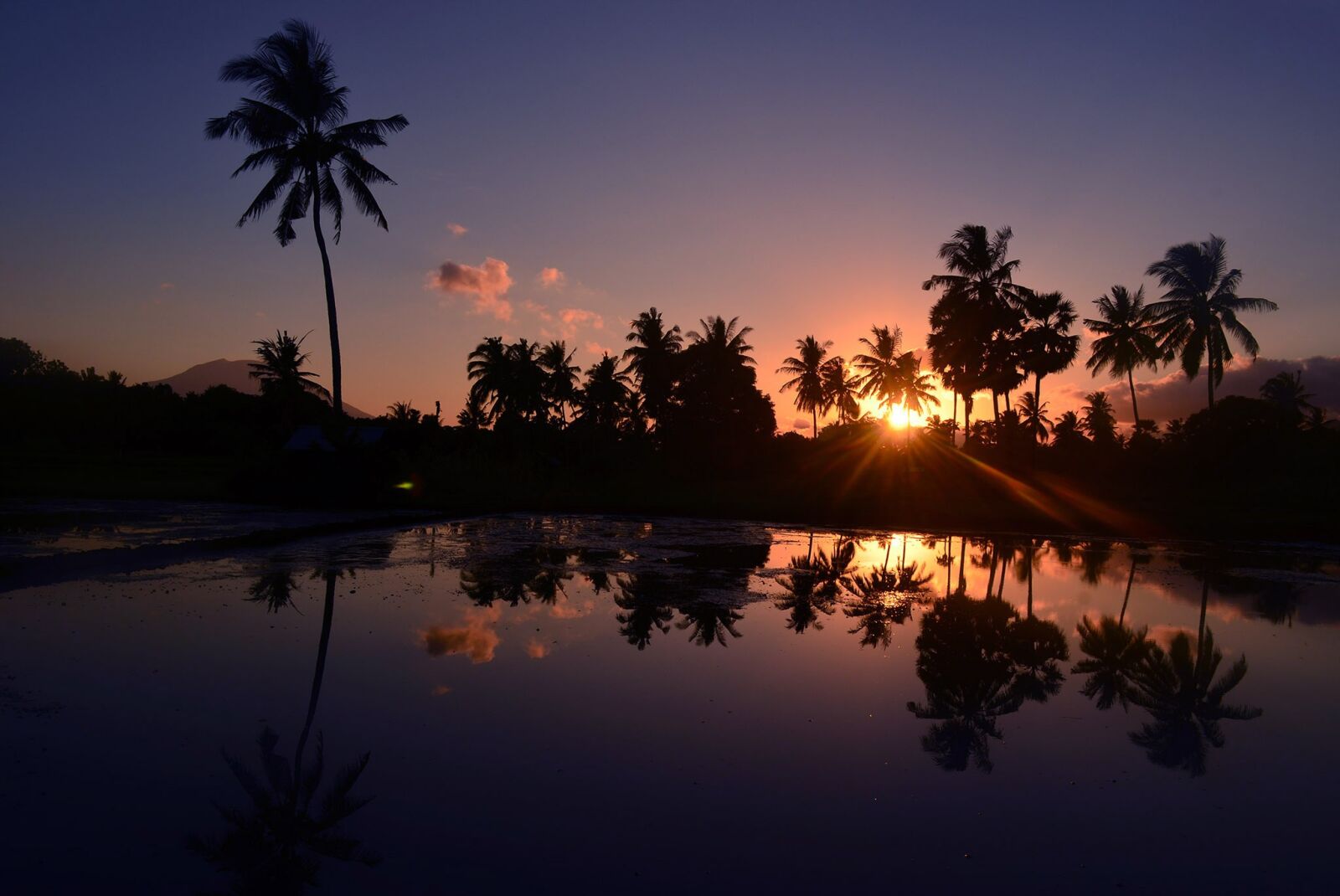 Nikon D5100 sample photo. Morning, landscape, nature photography