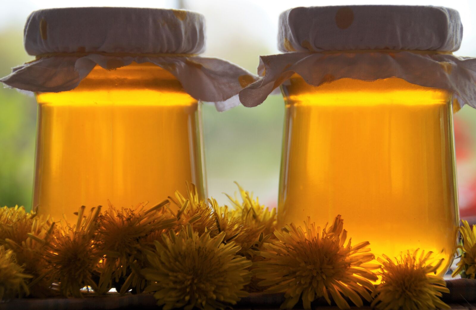 Sony SLT-A58 sample photo. Dandelion, honey, syrup photography
