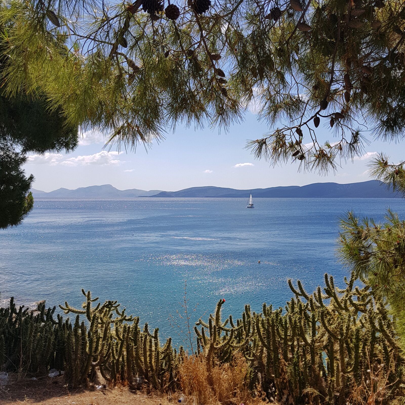 Samsung Galaxy S8+ sample photo. Greece, island, hidra photography