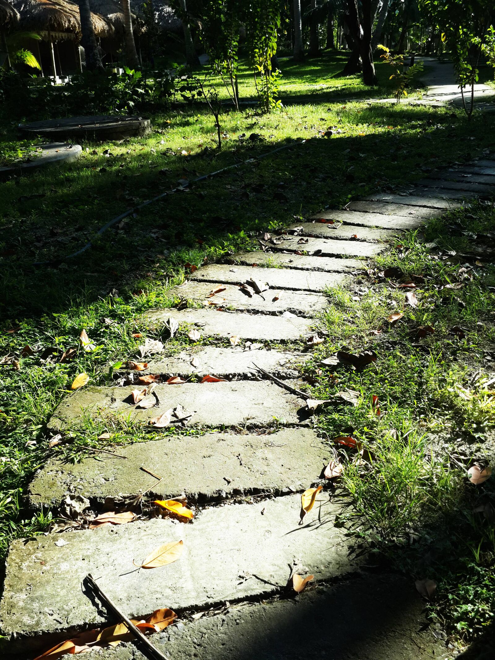 Samsung Galaxy S4 sample photo. Pathway photography