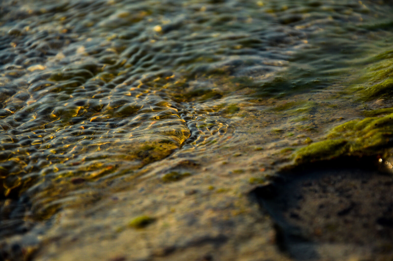 Nikon D3200 sample photo