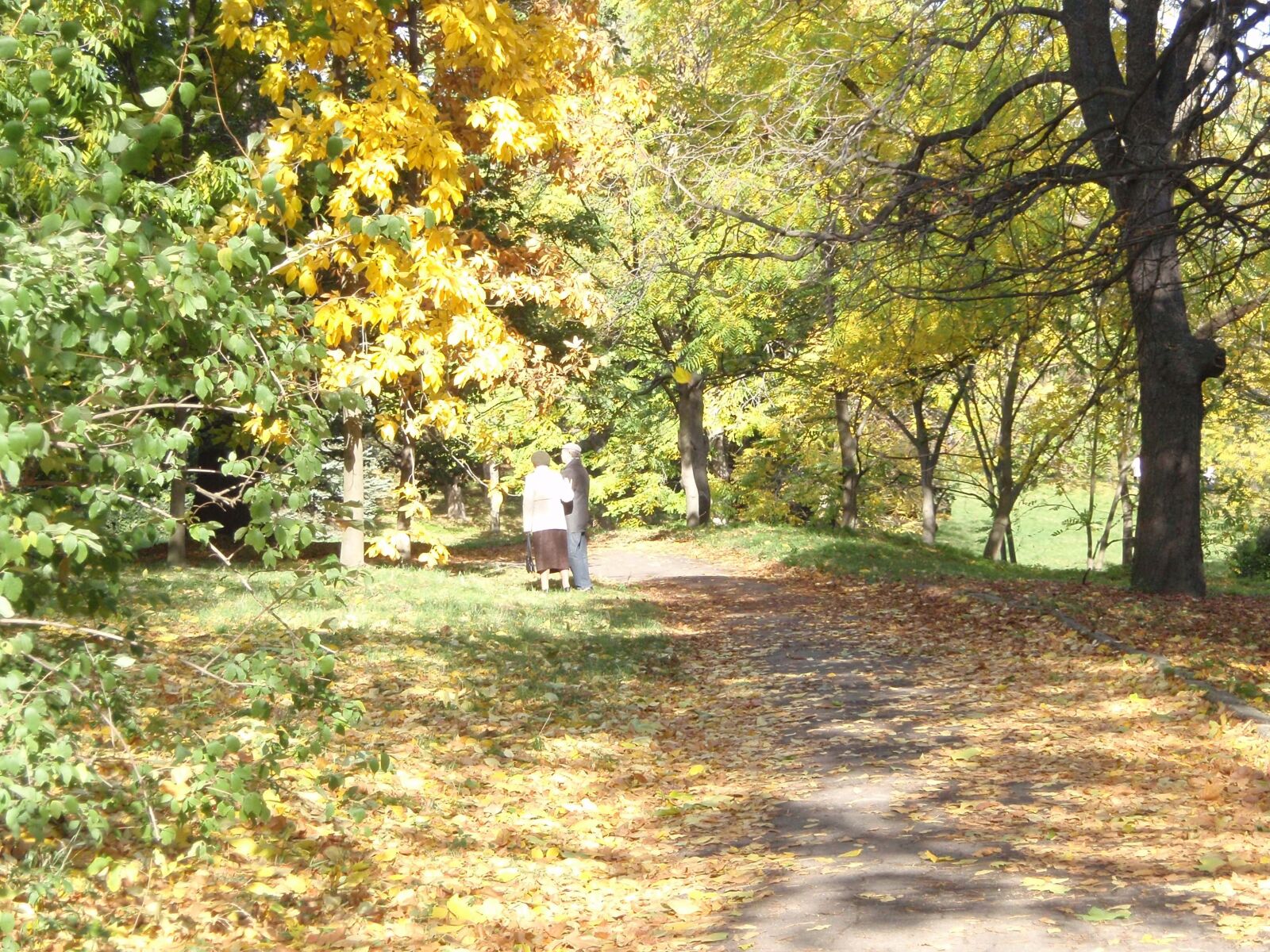 Olympus u840,S840 sample photo. Autumn, park, leaves photography