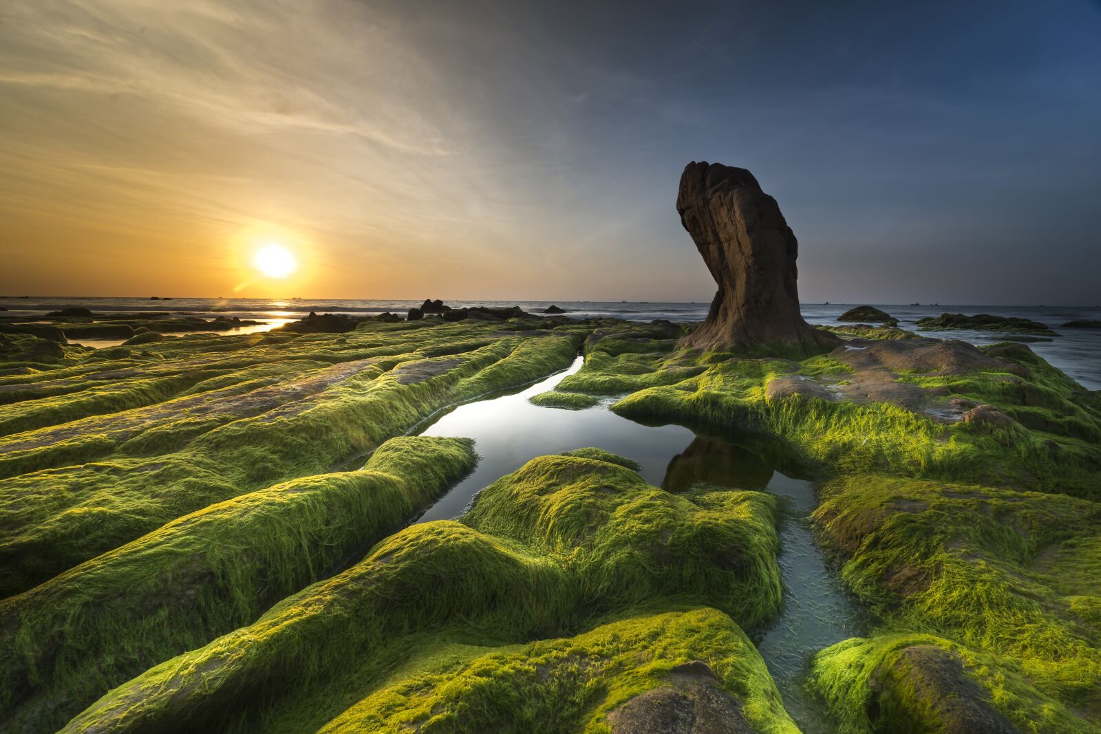 Voigtlander ULTRA WIDE-HELIAR 12mm F5.6 III sample photo. Coast, algae, sea photography